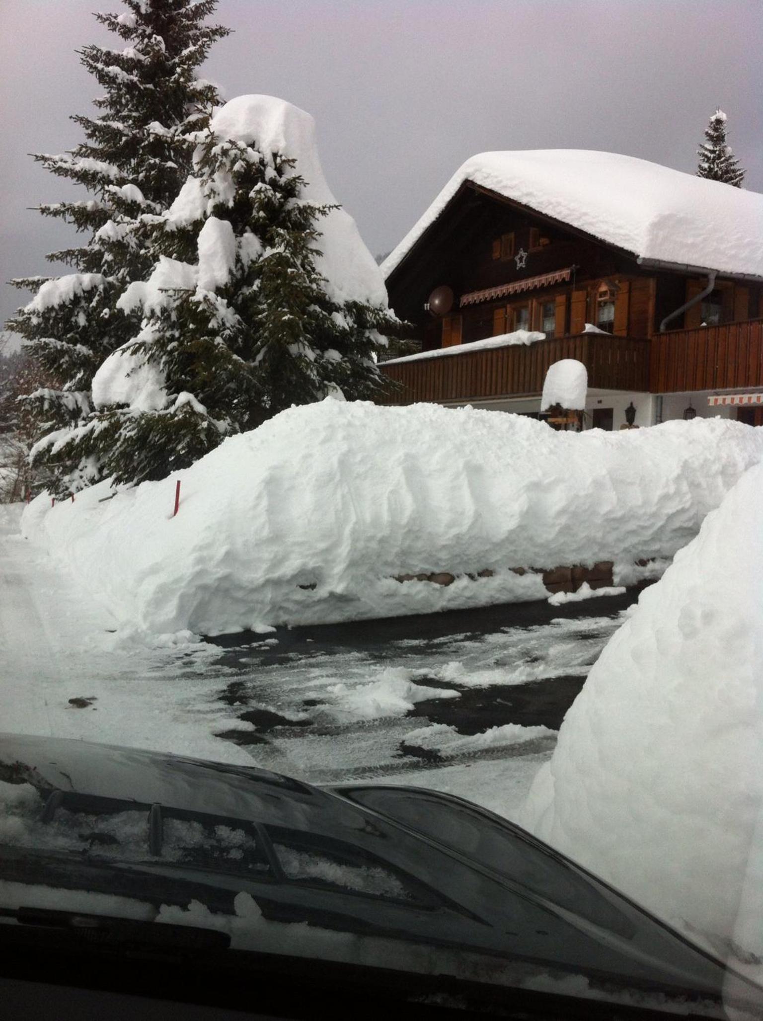 Photo 42