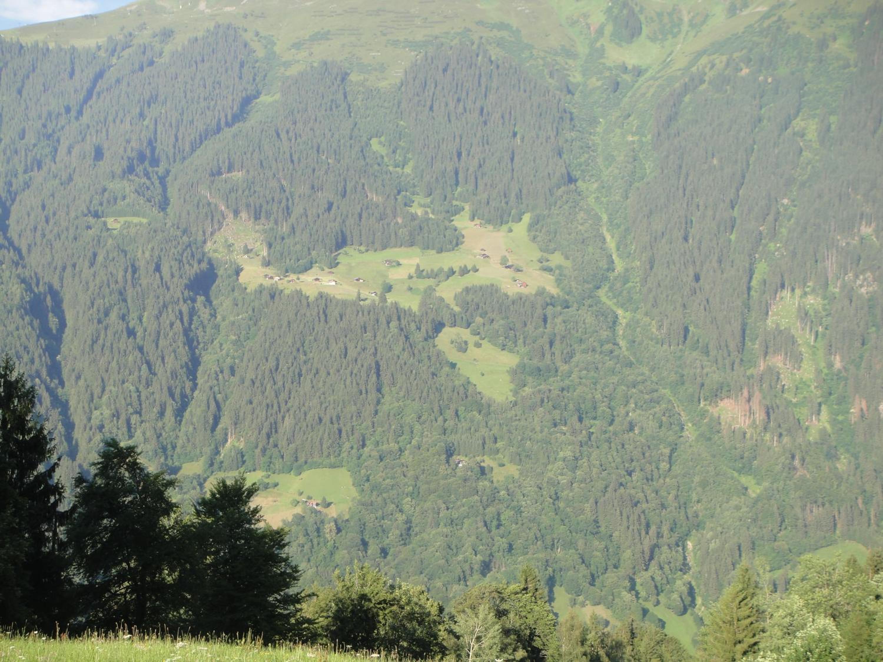 Maisäß Lifinarblick