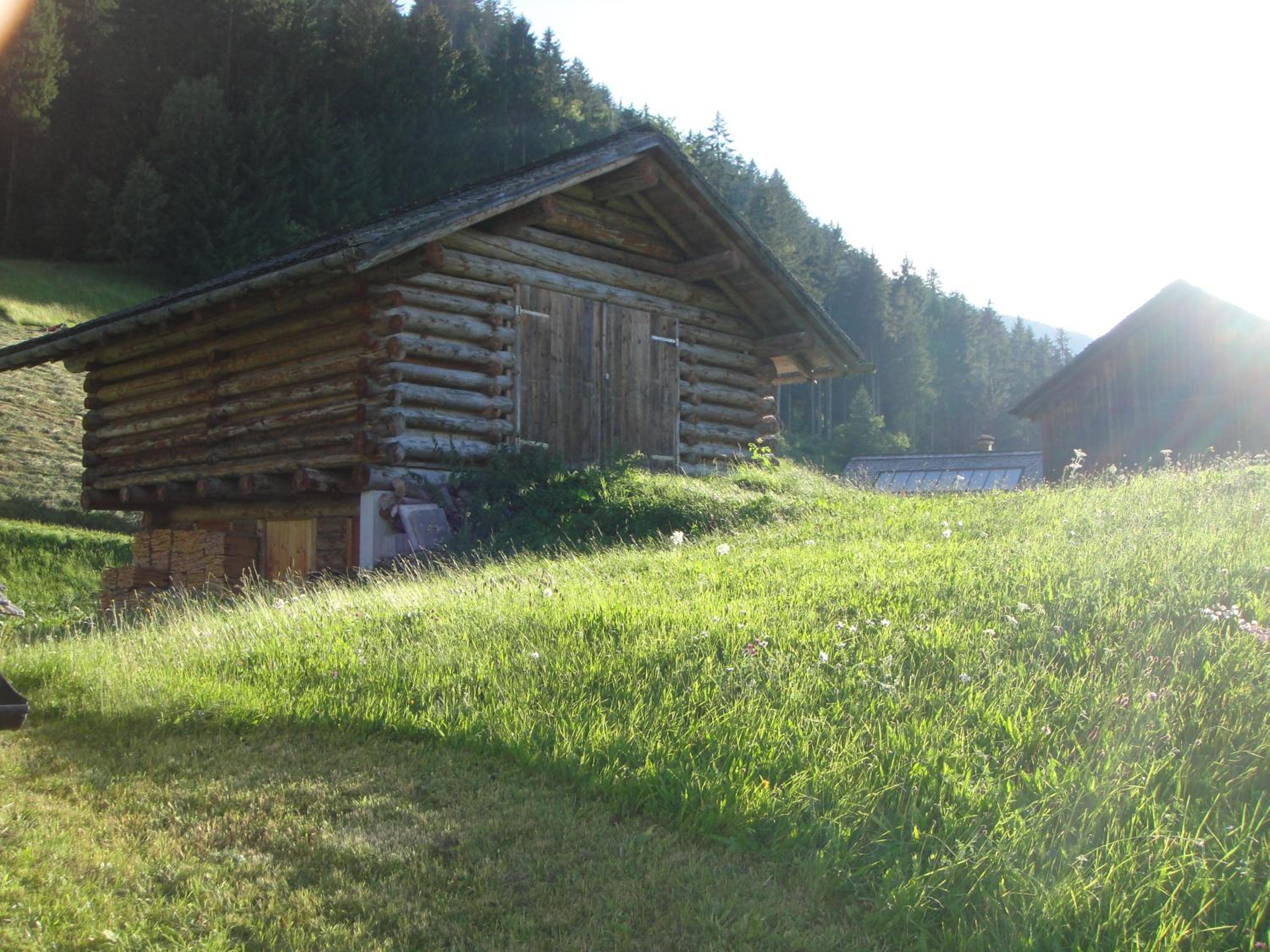 Maisäß Lifinarblick