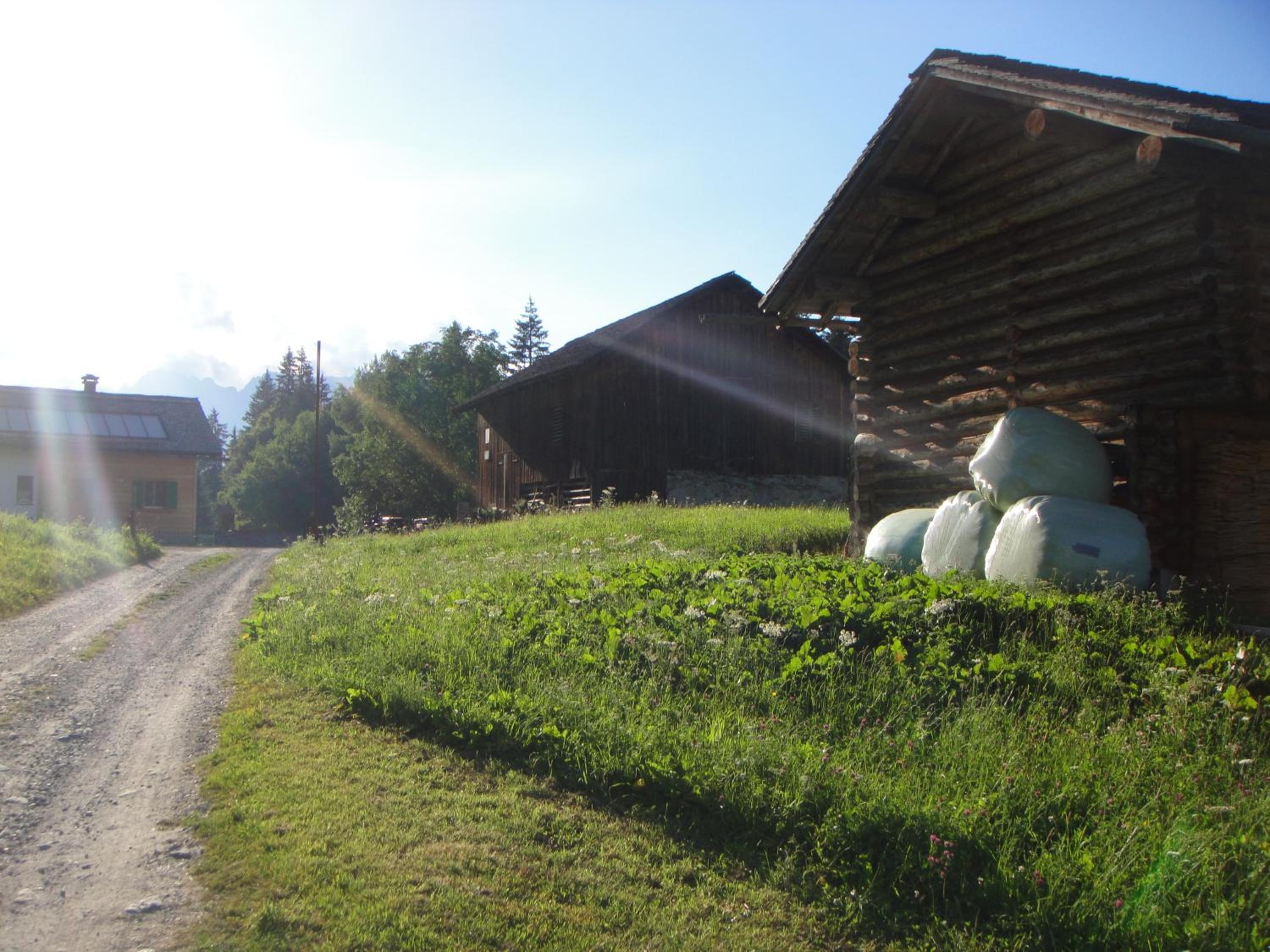 Maisäß Lifinarblick