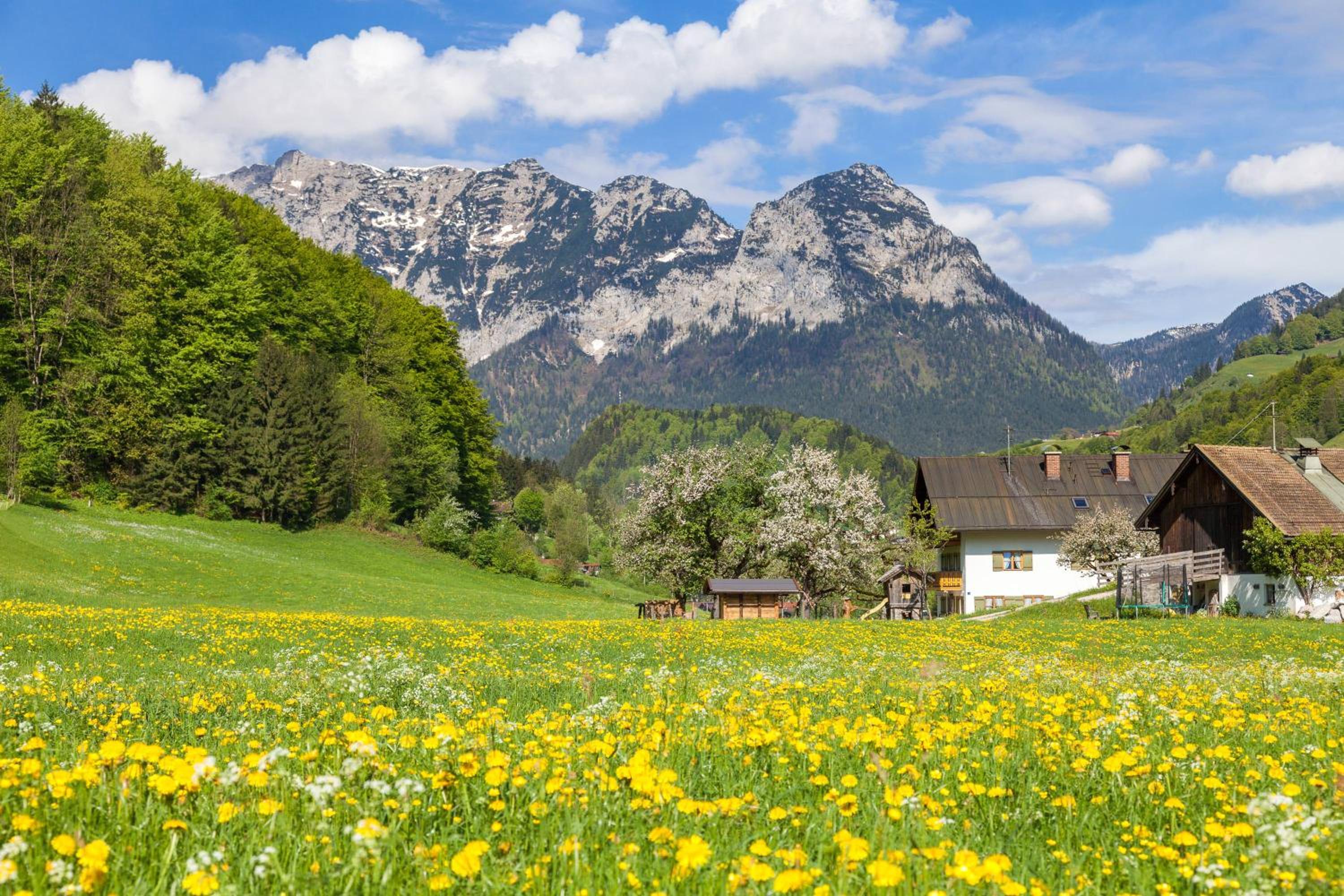 Gästehaus Anfanglehen