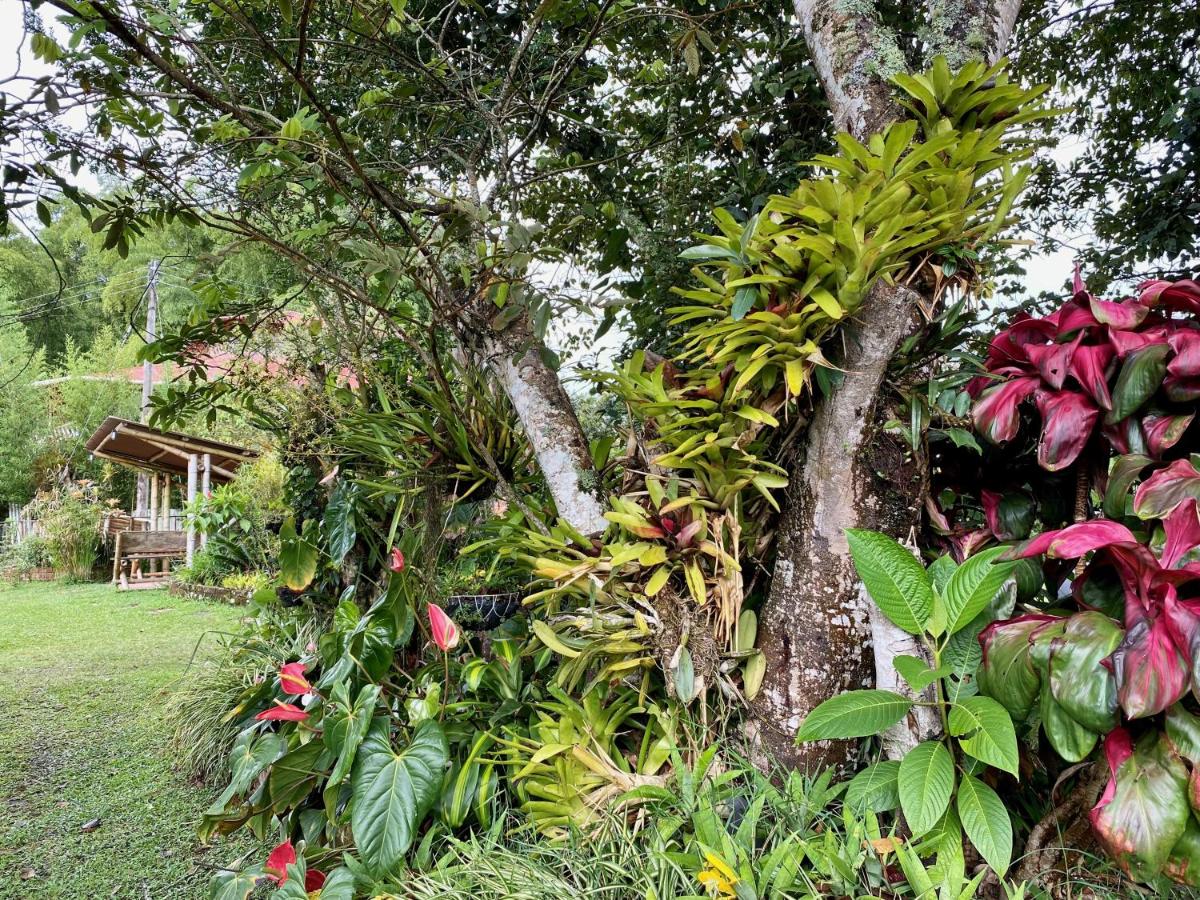 Posada Chaska