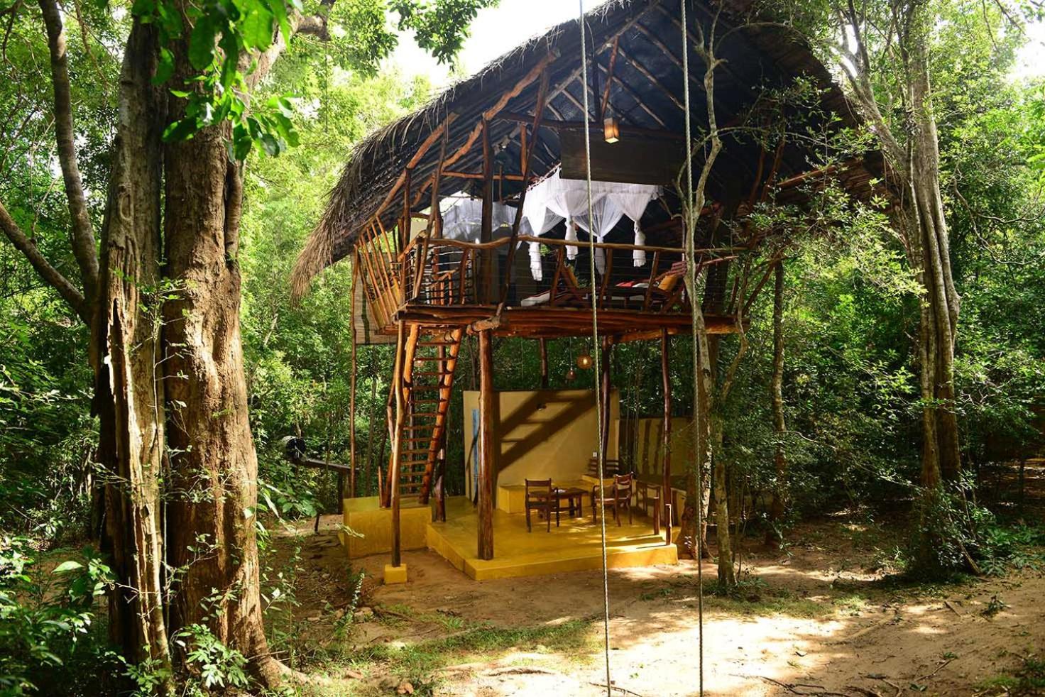 Back of Beyond - Pidurangala