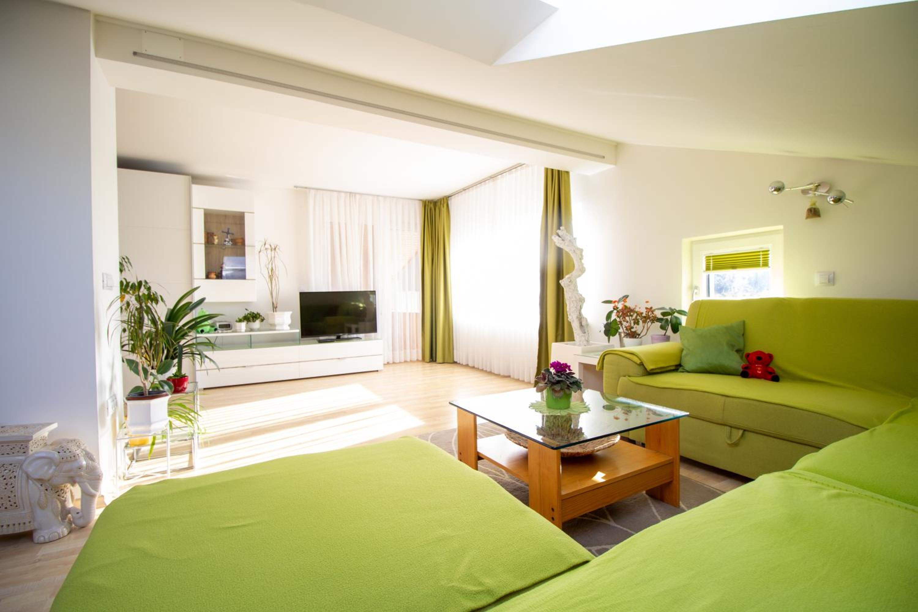 Garden Apartments Janša view 4