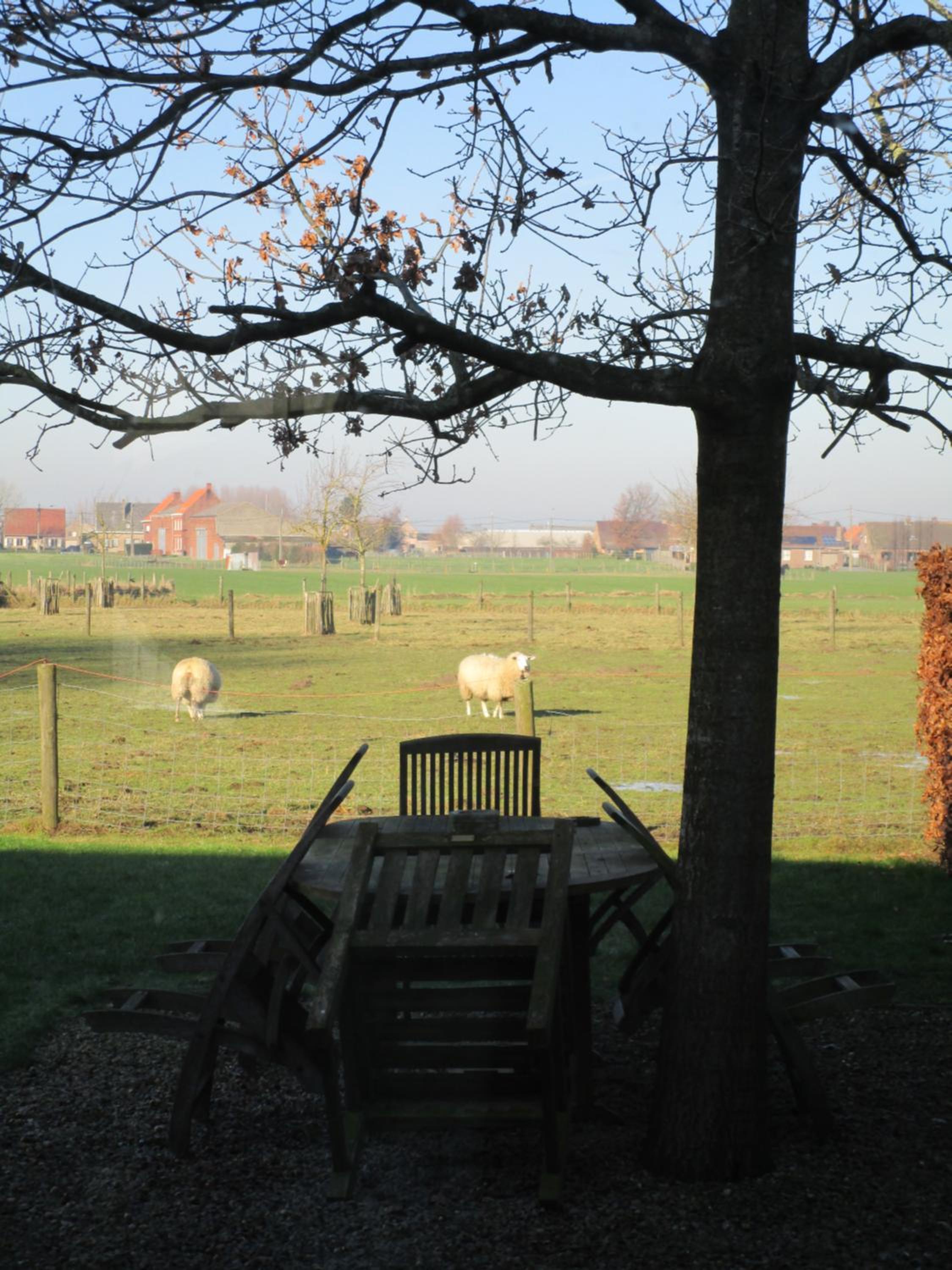 B&B De Pethaan