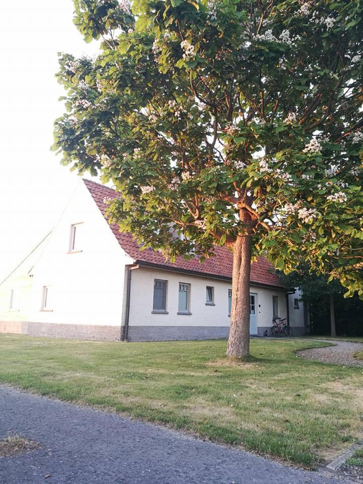 B&B De Pethaan