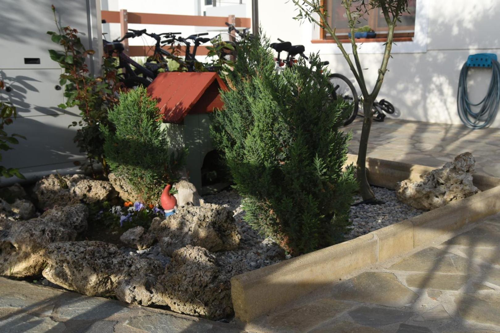 Photo 24