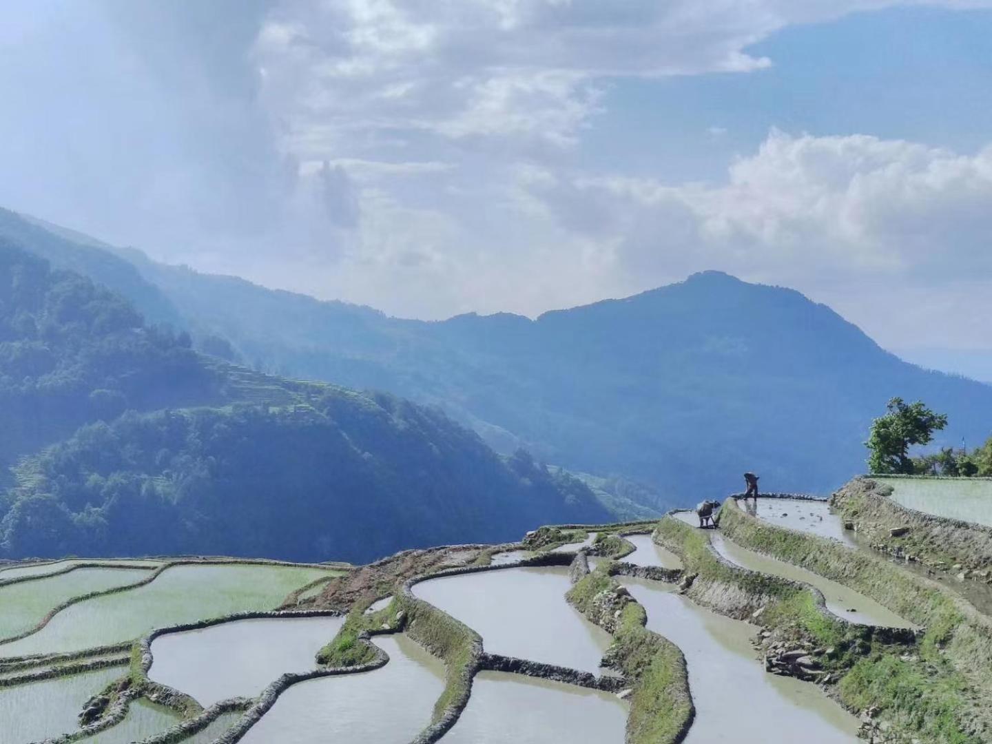 Yuanyang Flower and Horse Inn