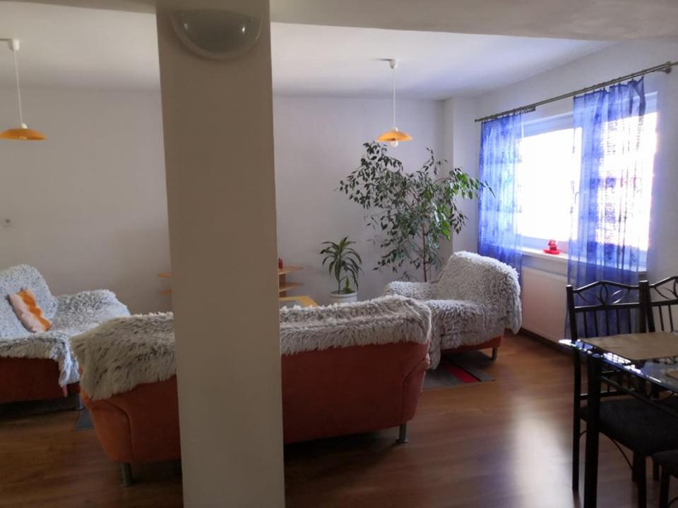 Photo 37