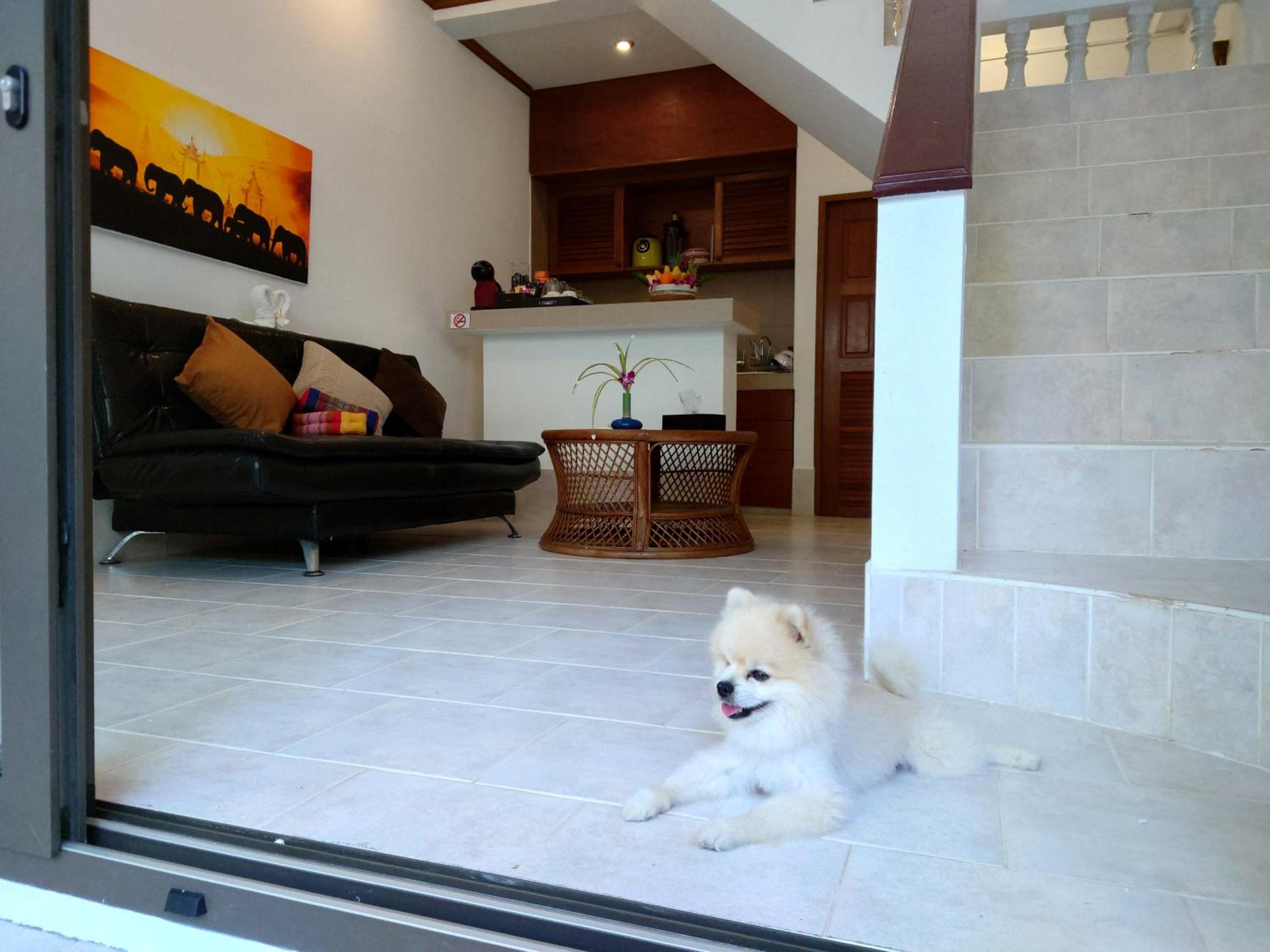 Samui Little Garden Resort