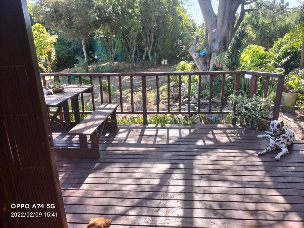 Photo 15