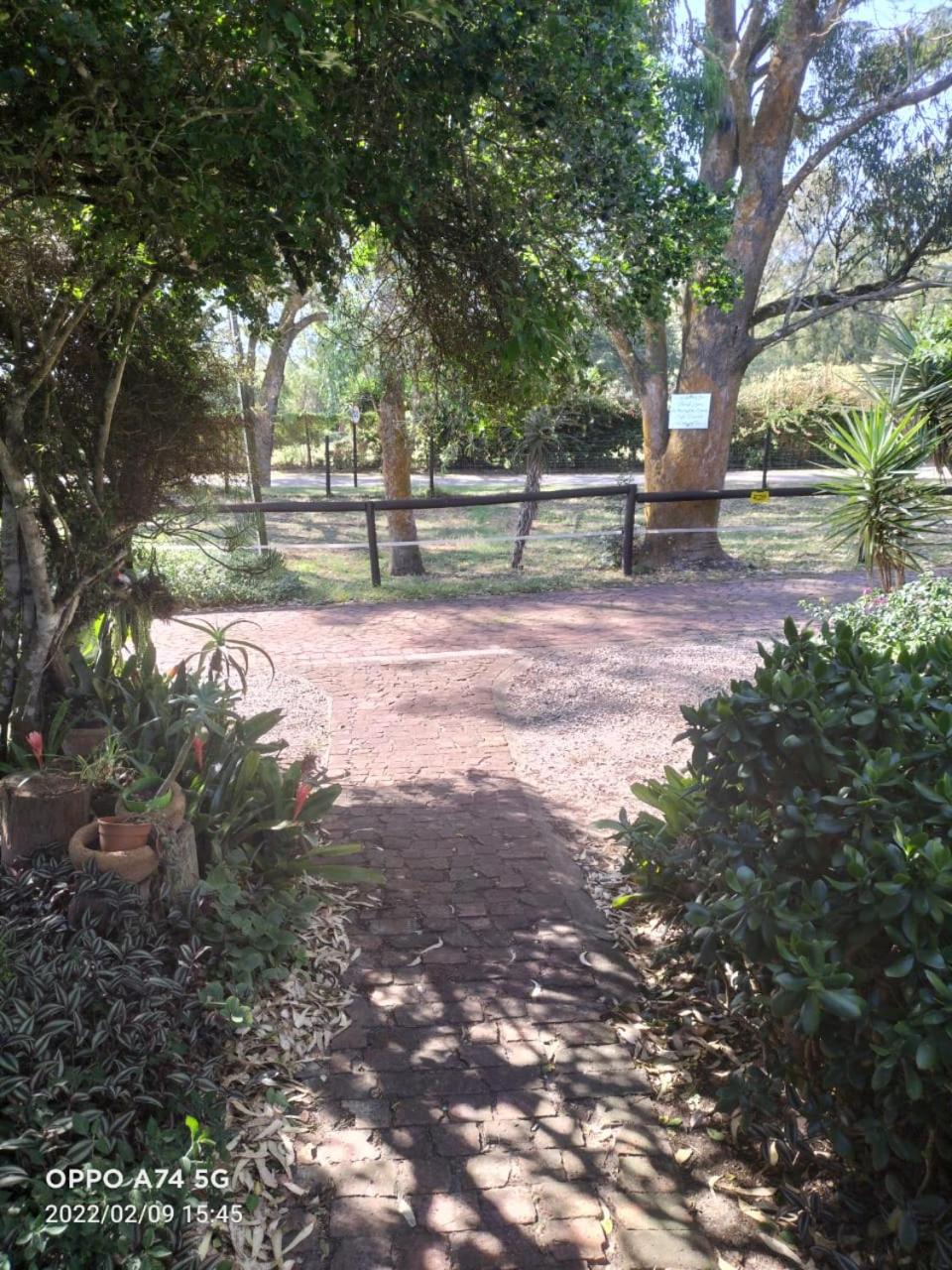 Photo 28