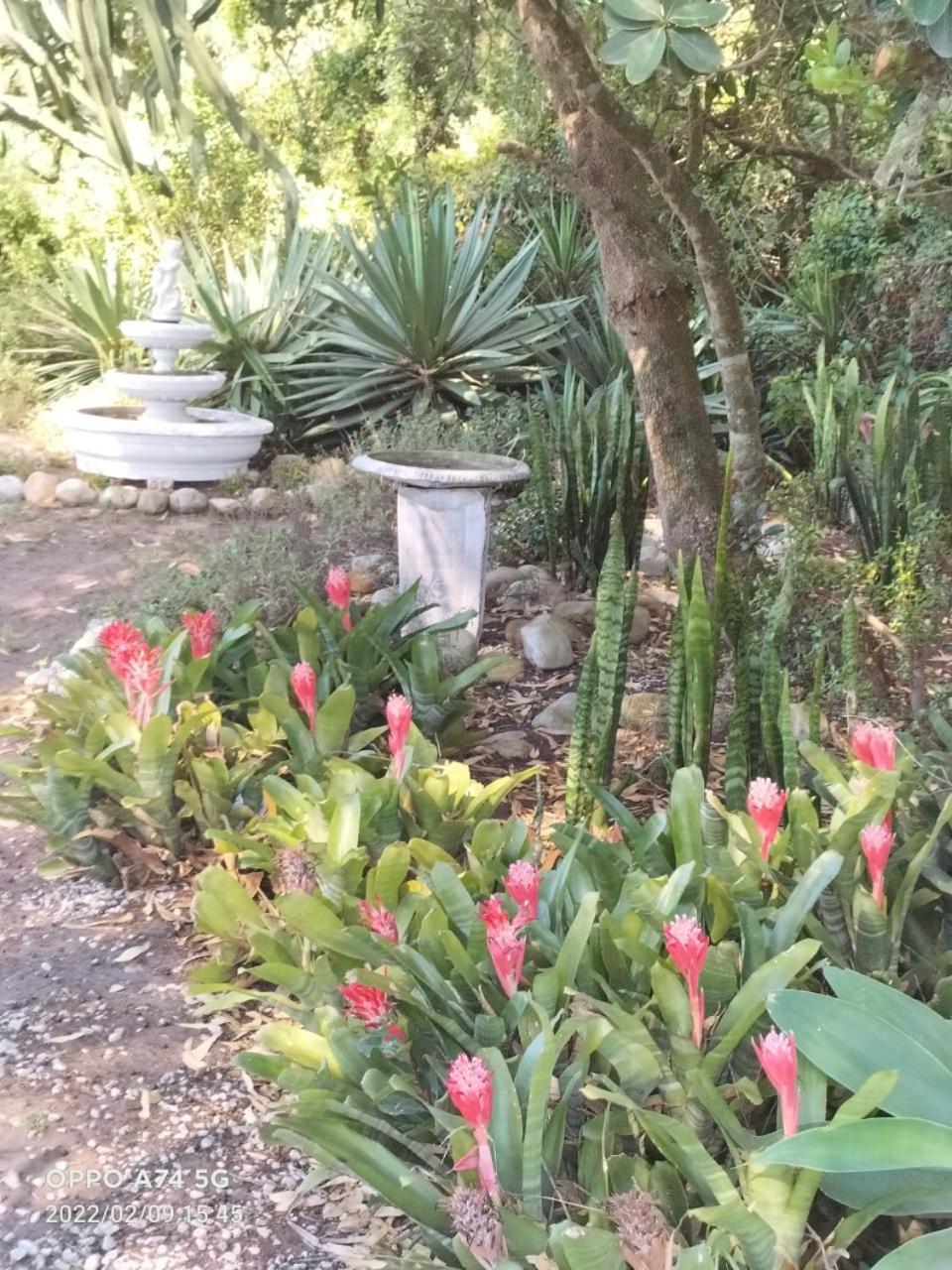 Photo 35