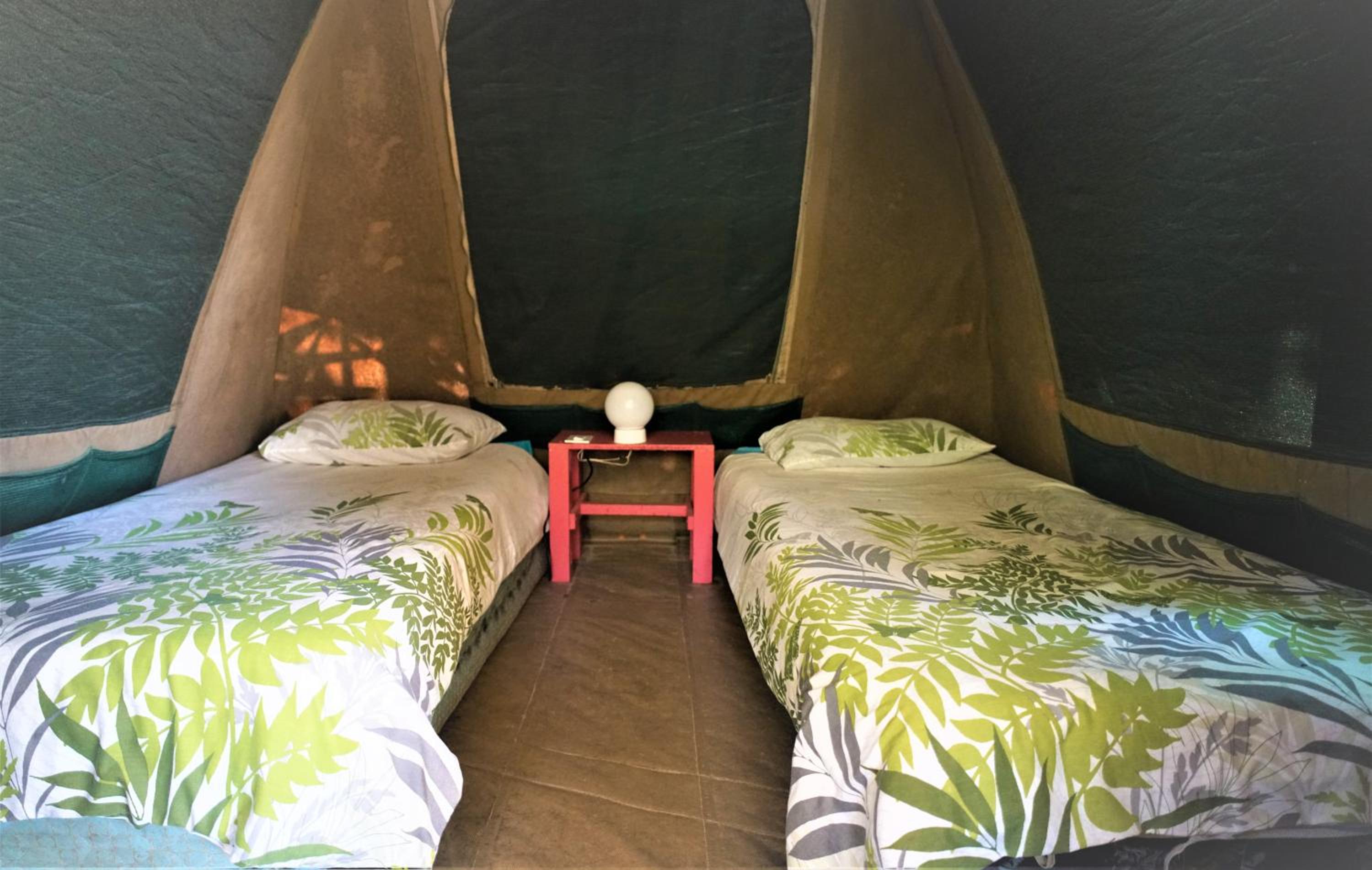 Hazyview Adventure Backpackers