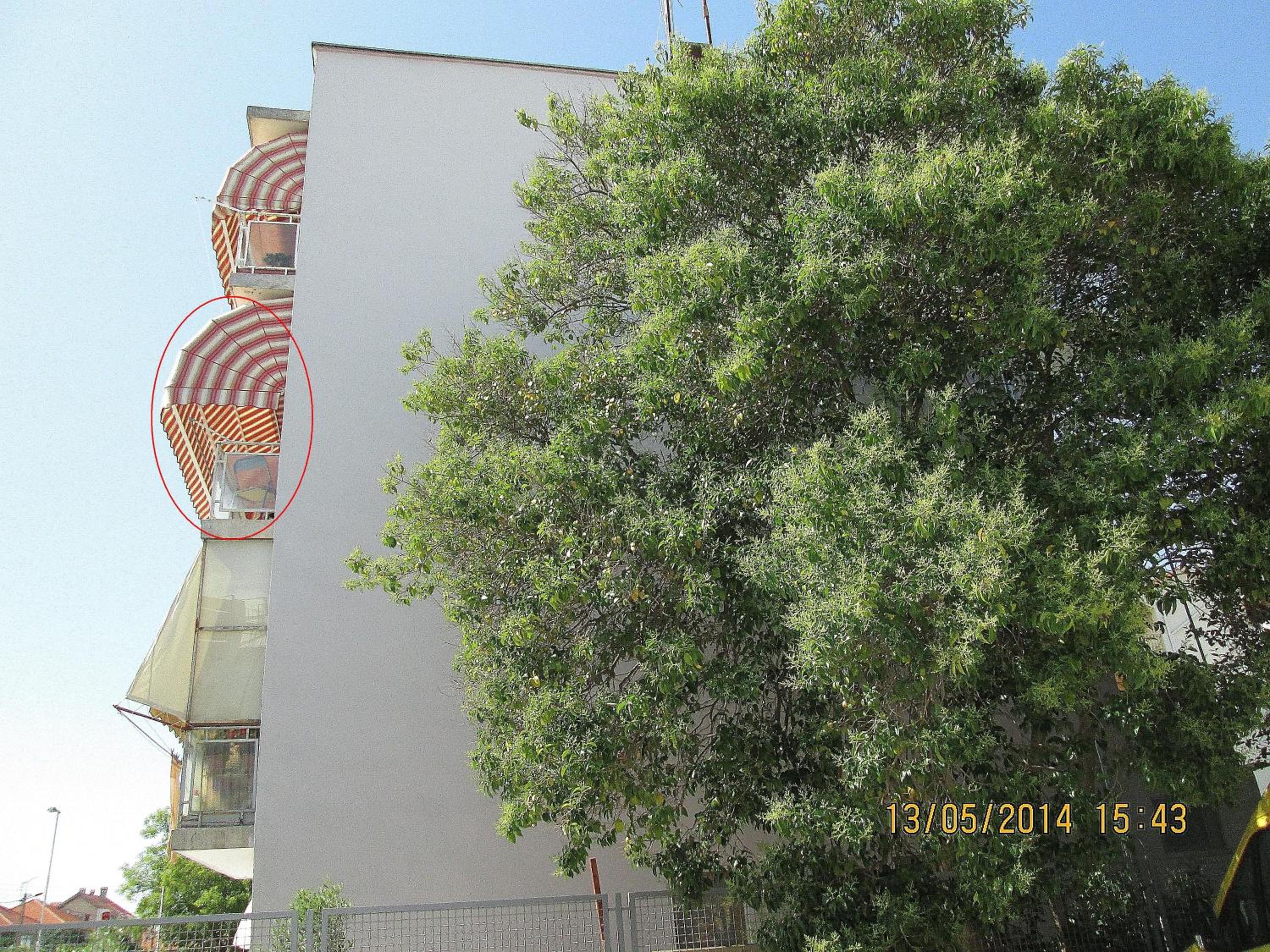 Photo 33