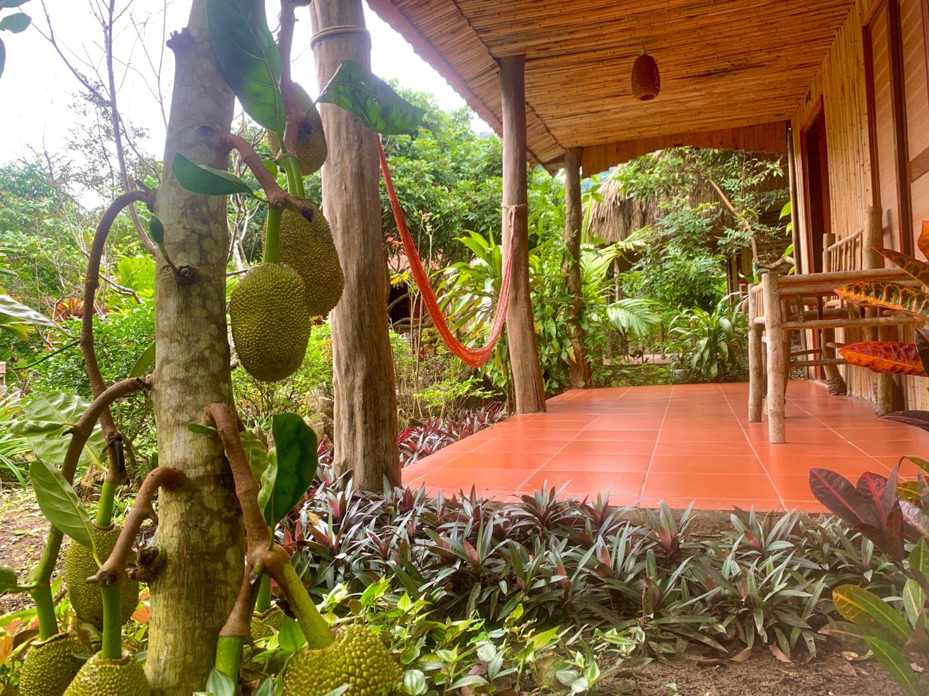 Viet Hai Lan Homestay view 2