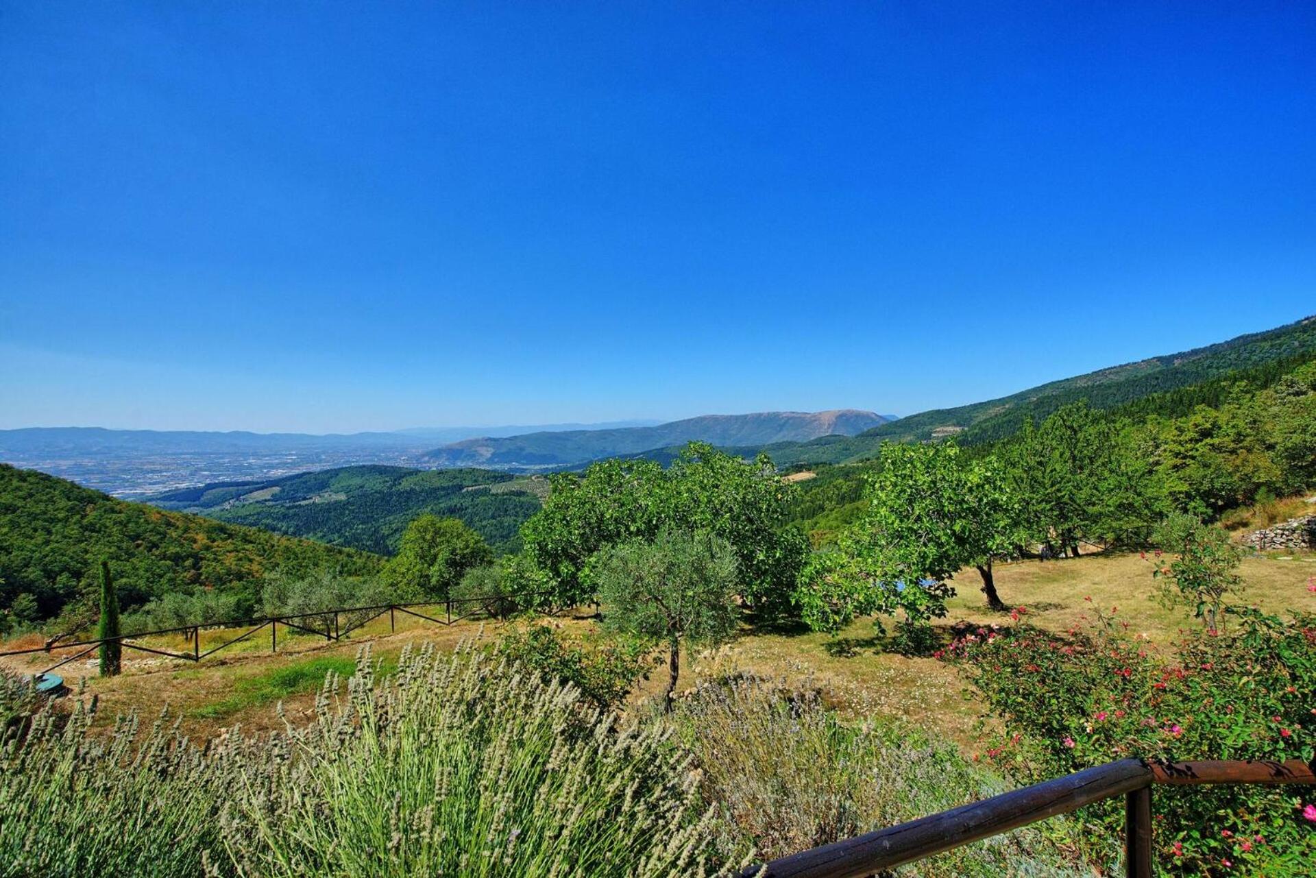 Villa Tenuta Lonciano by PosarelliVillas
