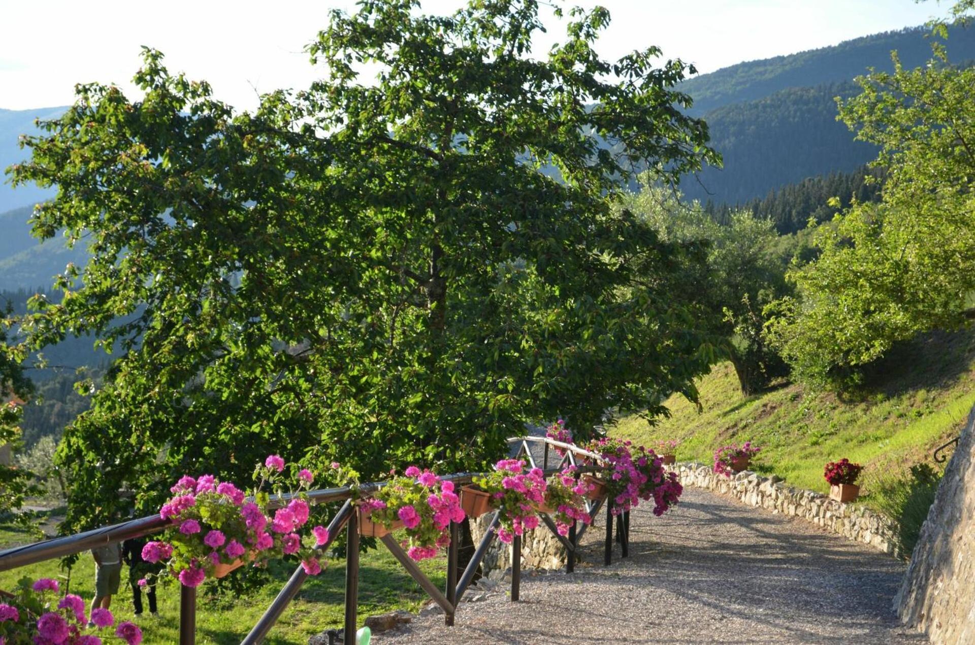 Villa Tenuta Lonciano by PosarelliVillas