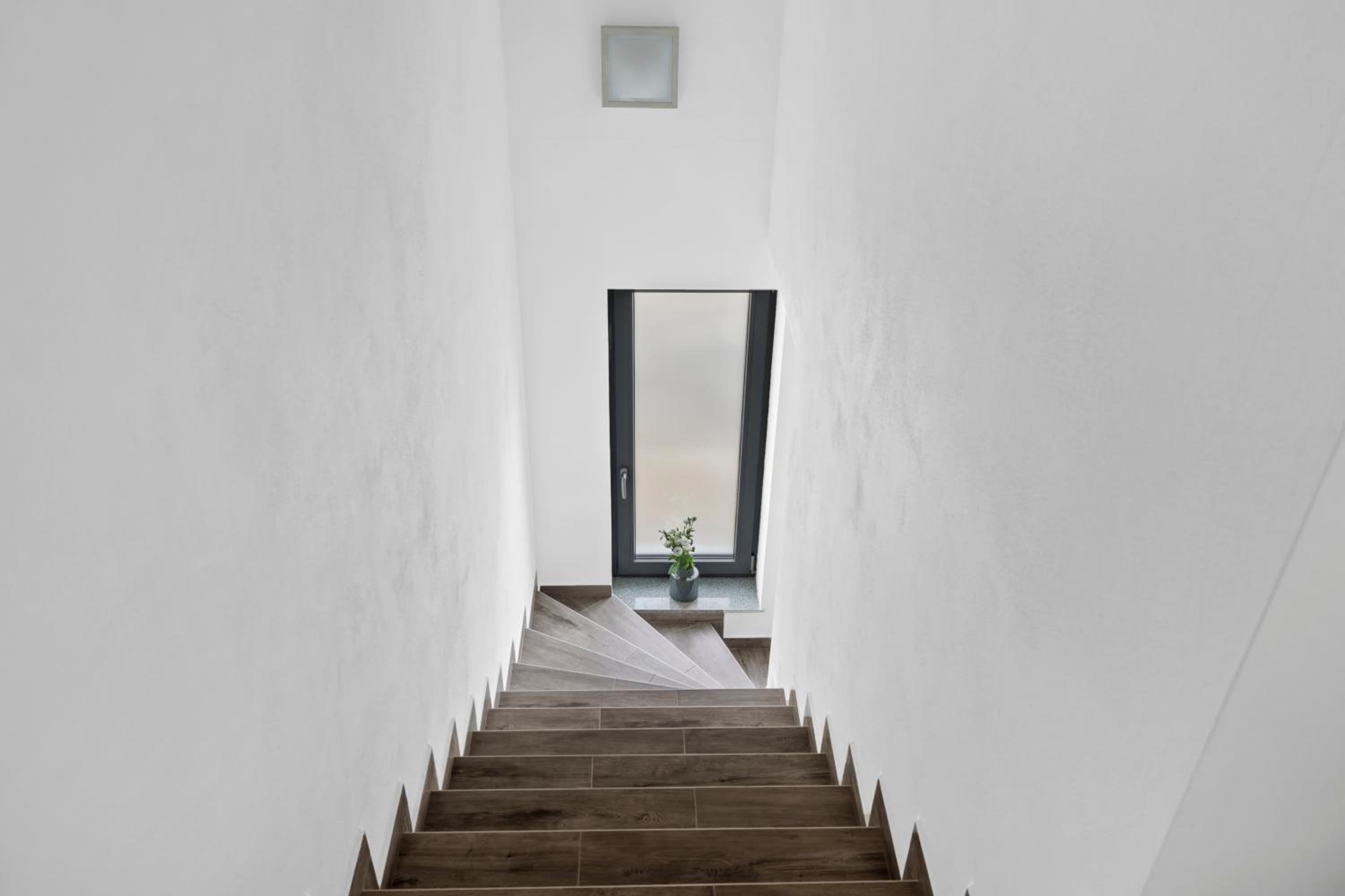 Apartmán Šakal