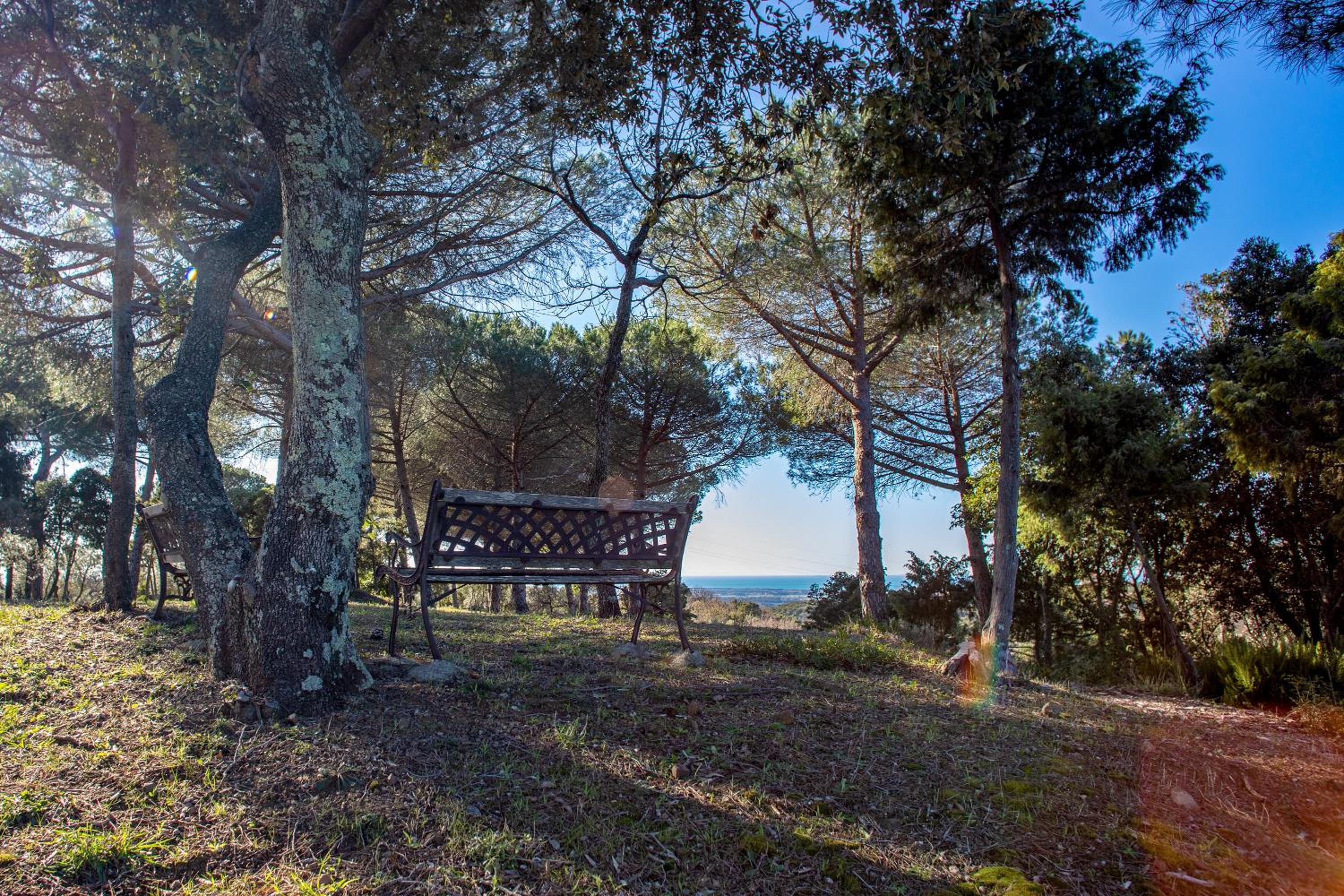 Glamping Debbiare