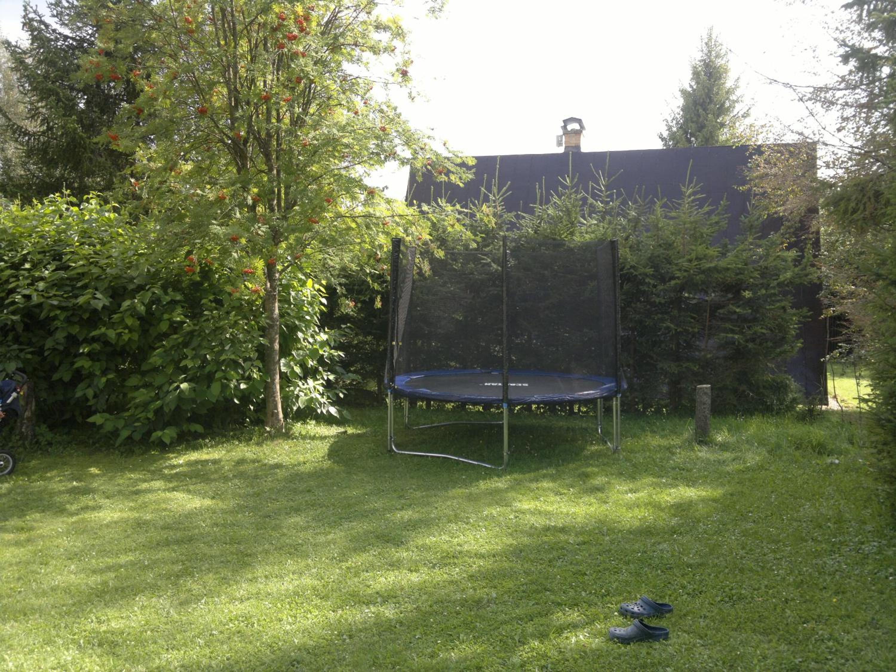 Photo 41