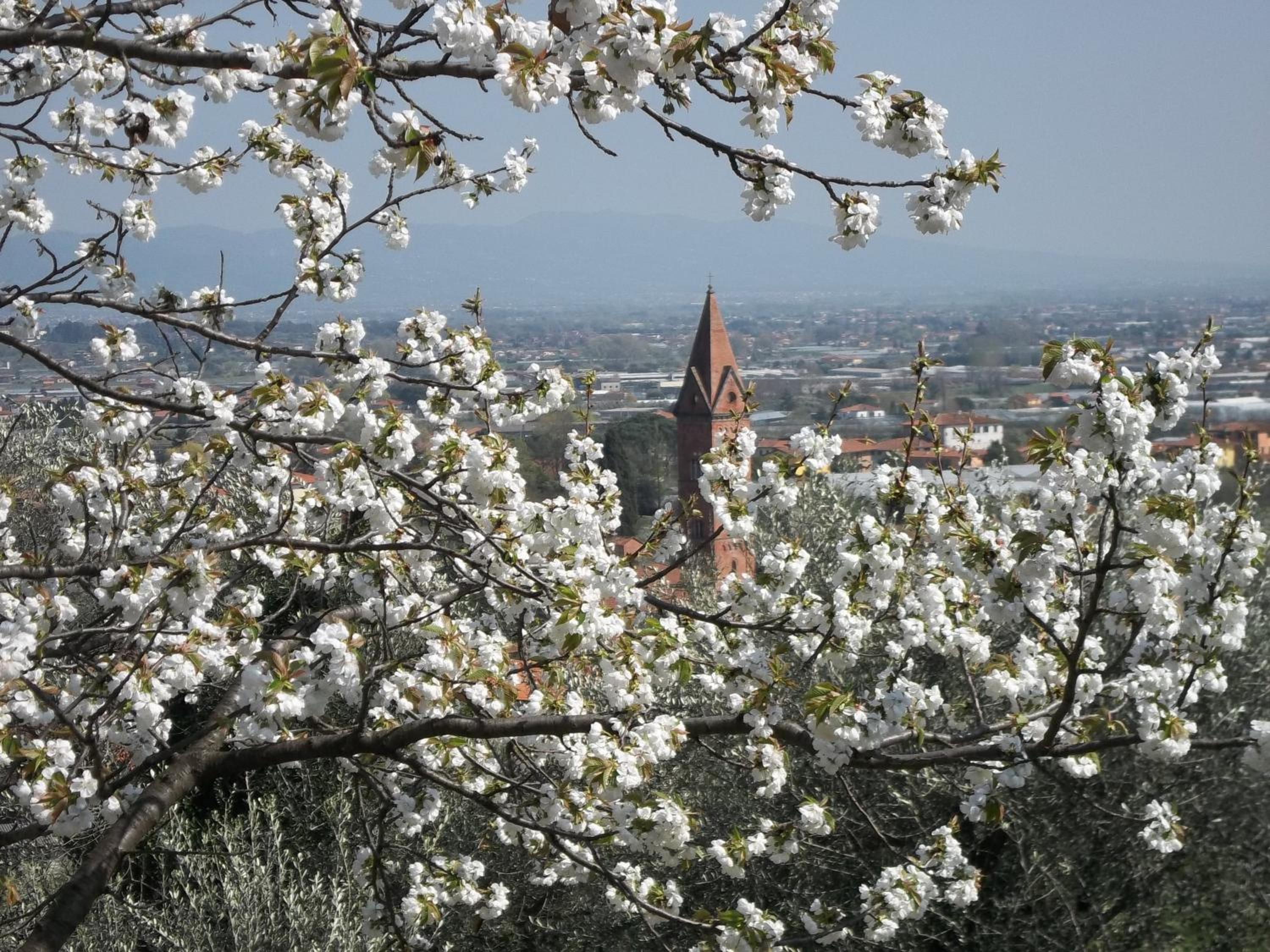 Il Campano