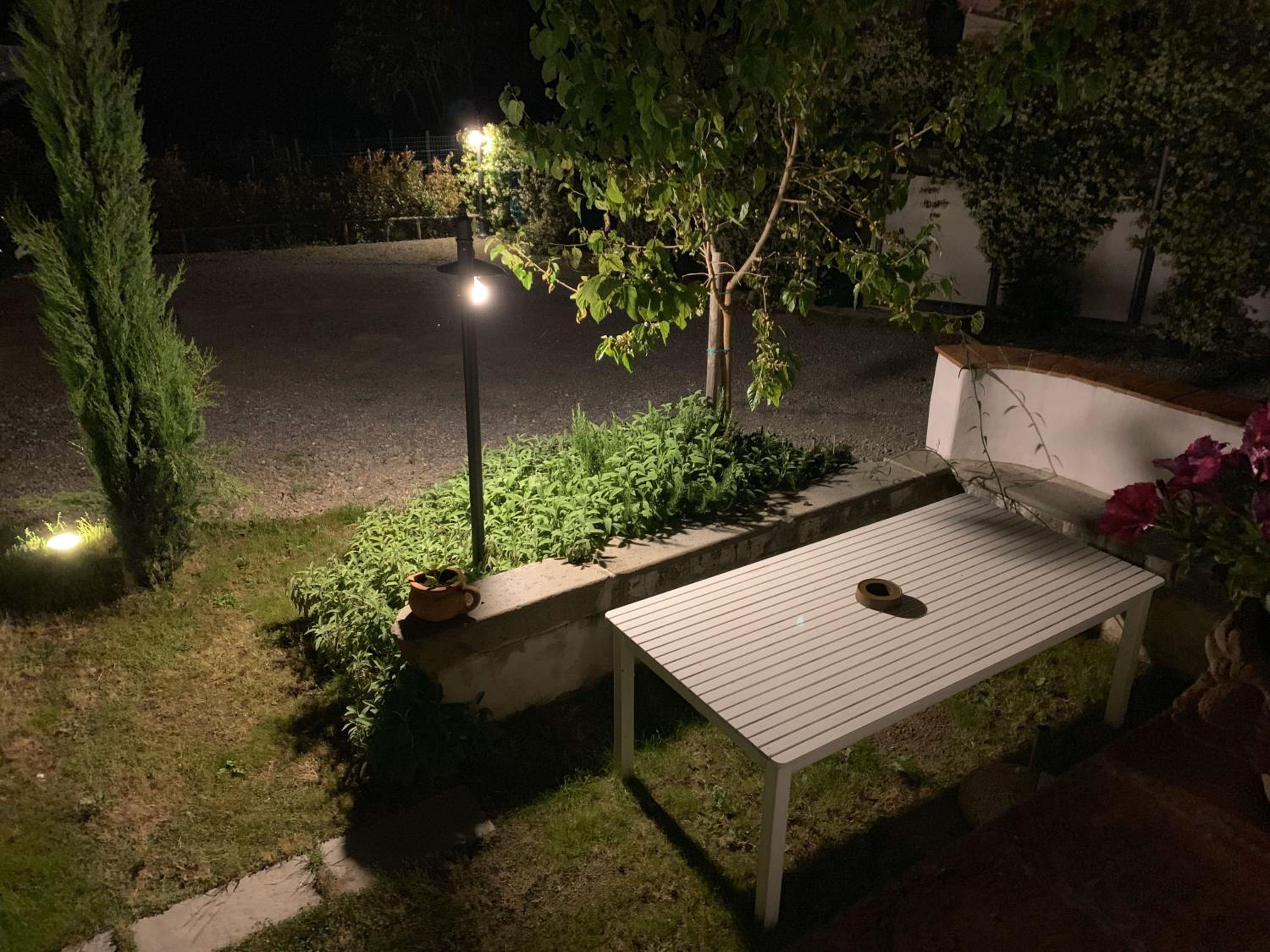 Photo 6