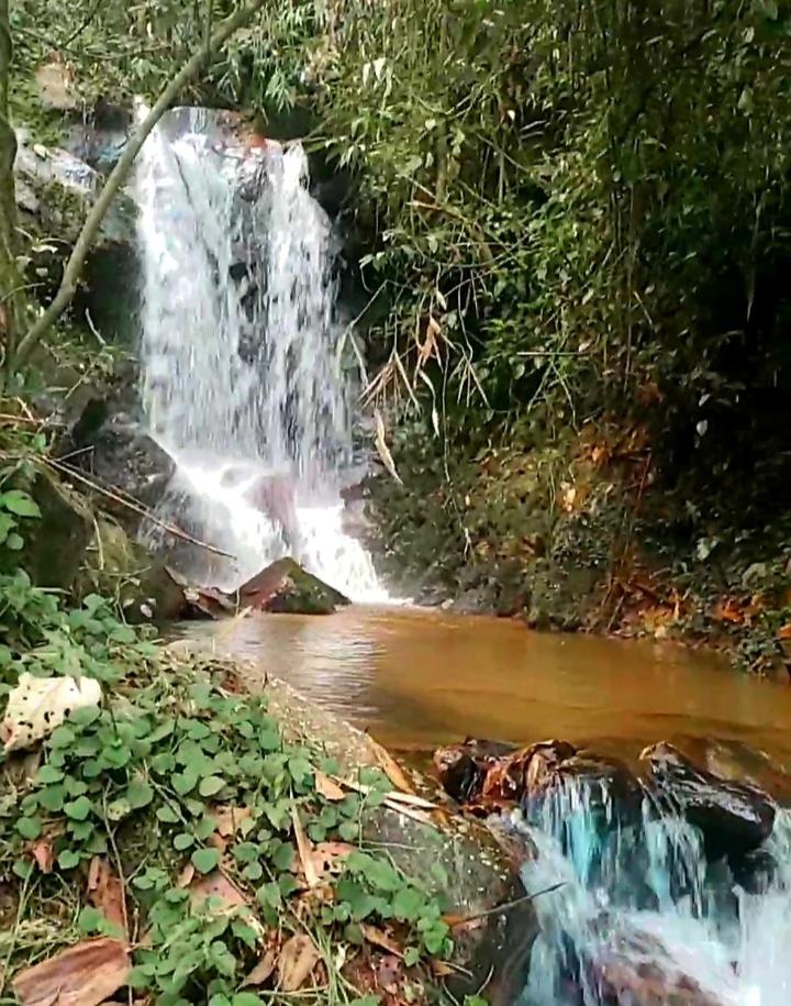 Casa Refúgio da floresta na Serra