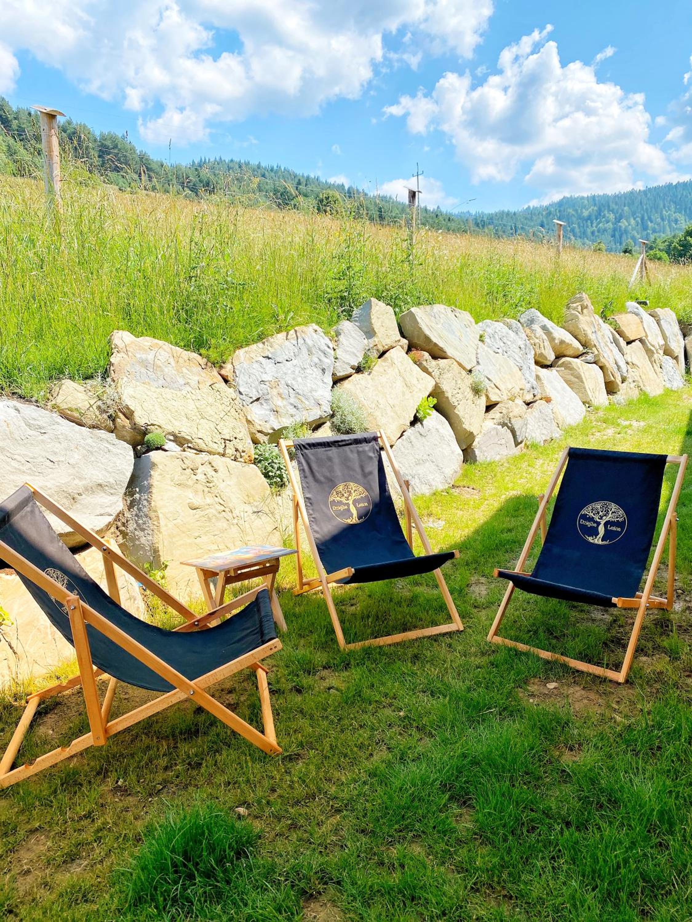 Dziejba Leśna Apartamenty &Spa - piękne i nowe apartamenty i domek, sauna i jacuzzi - W CENIE I NA WYLACZNOŚĆ, 1 km od stoku