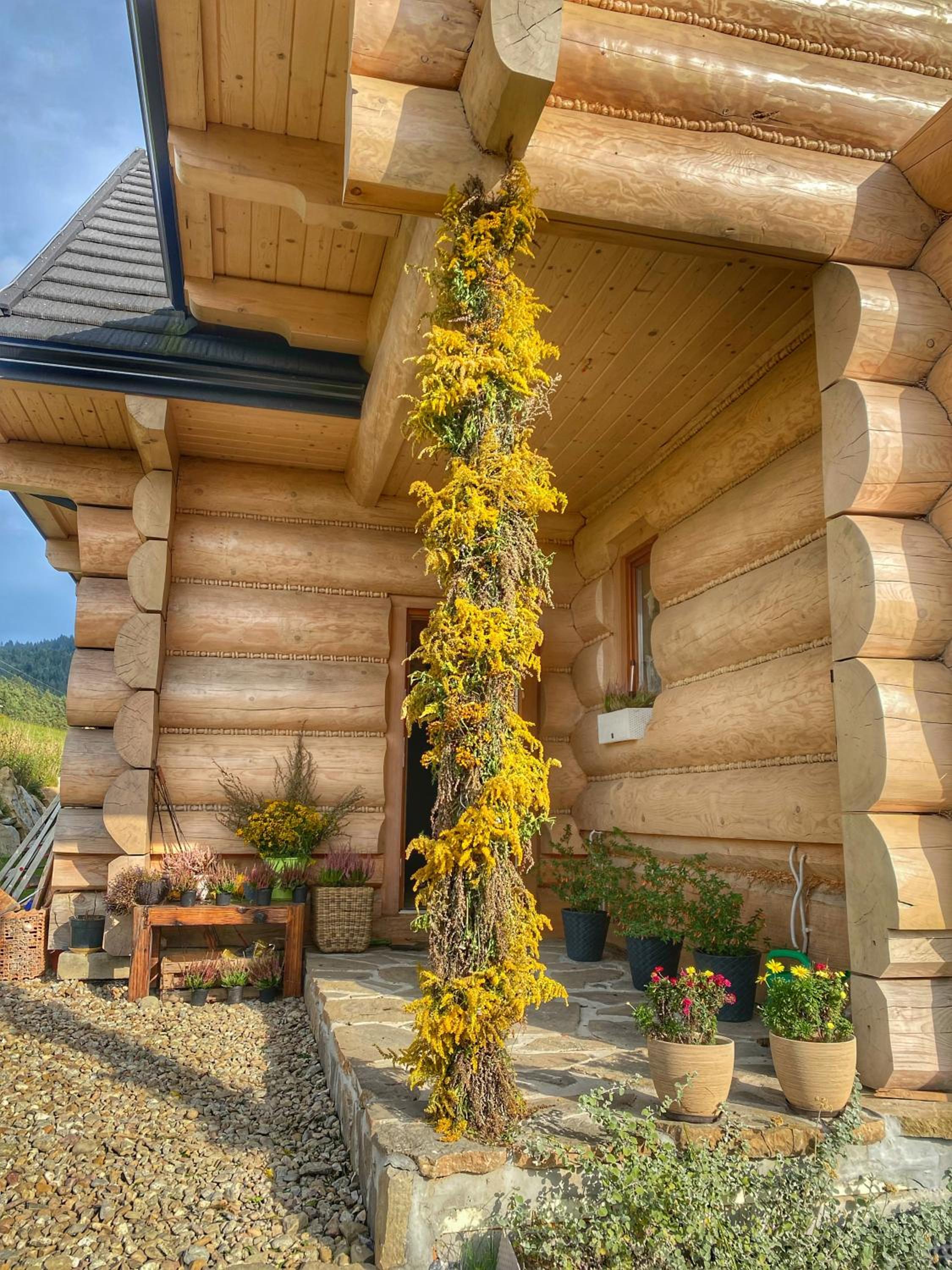 Dziejba Leśna Apartamenty &Spa - piękne i nowe apartamenty i domek, sauna i jacuzzi - W CENIE I NA WYLACZNOŚĆ, 1 km od stoku