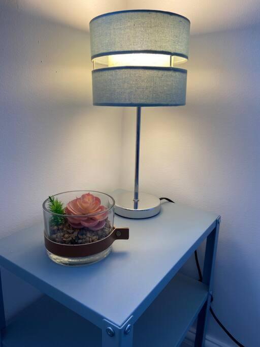 Newly refurbished town centre apartment view 5