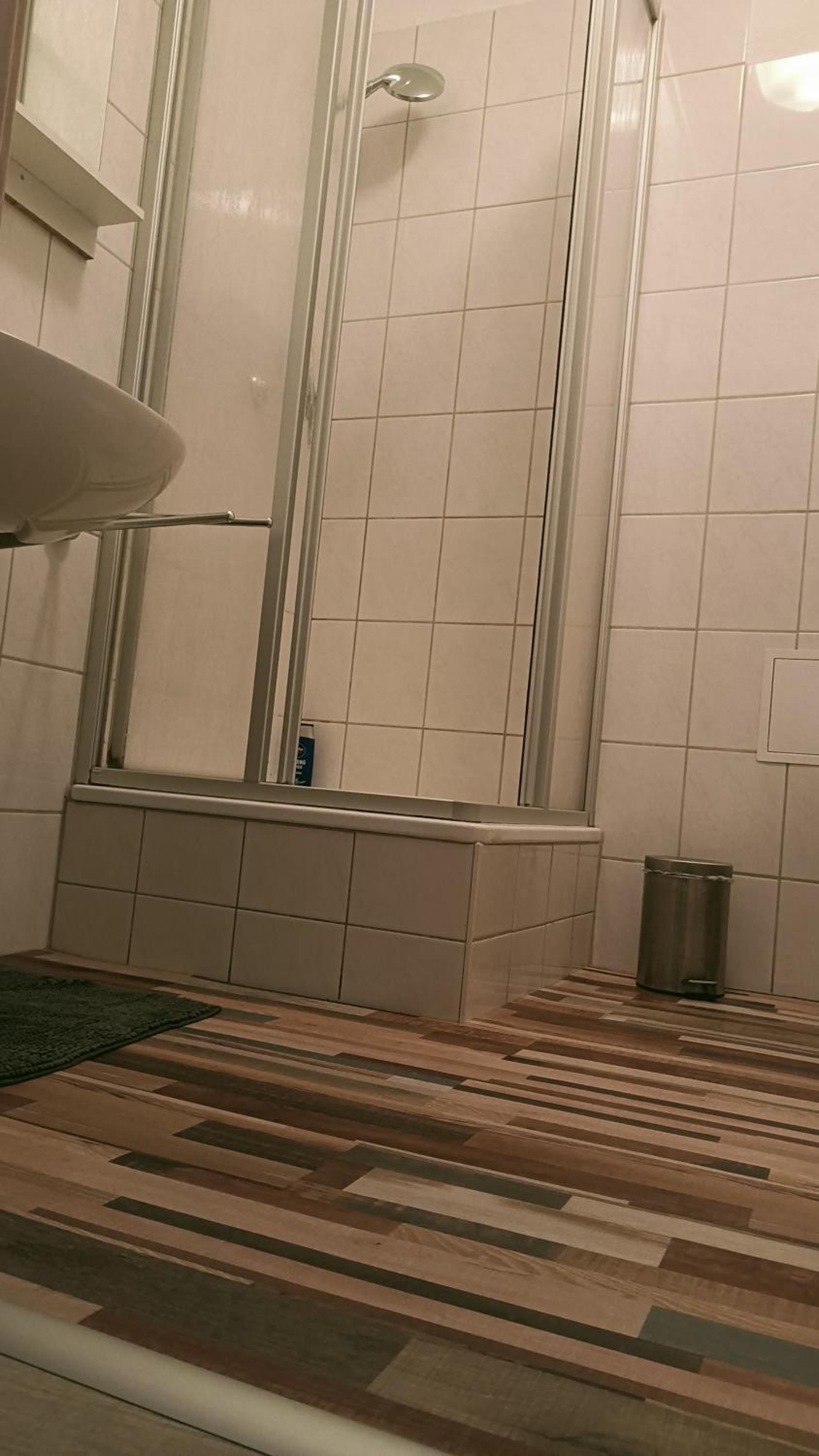 Gaste- und Ferienwohnung Glaser Zwickau - Property Image 8