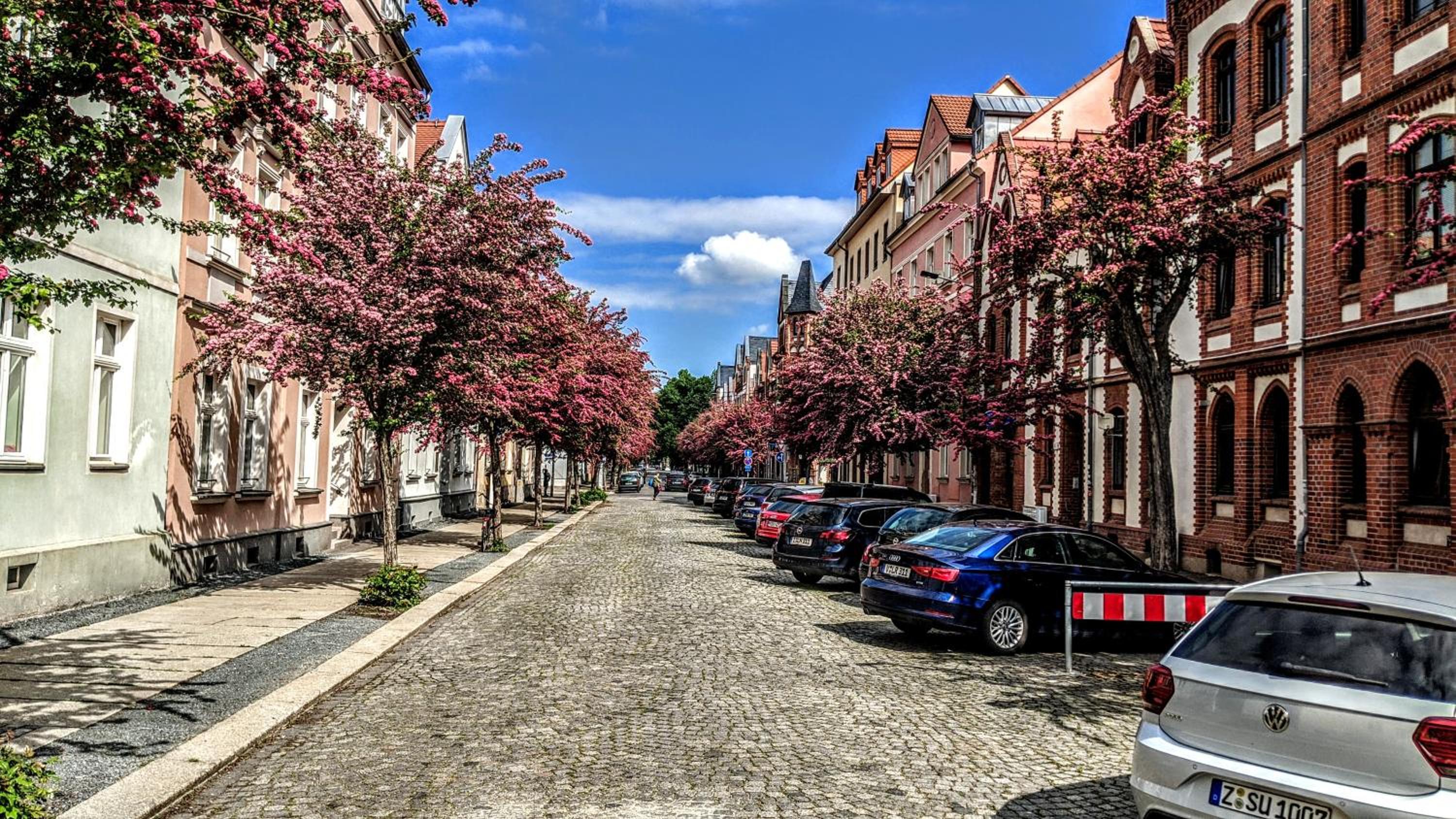 Gaste- und Ferienwohnung Glaser Zwickau - Property Image 16