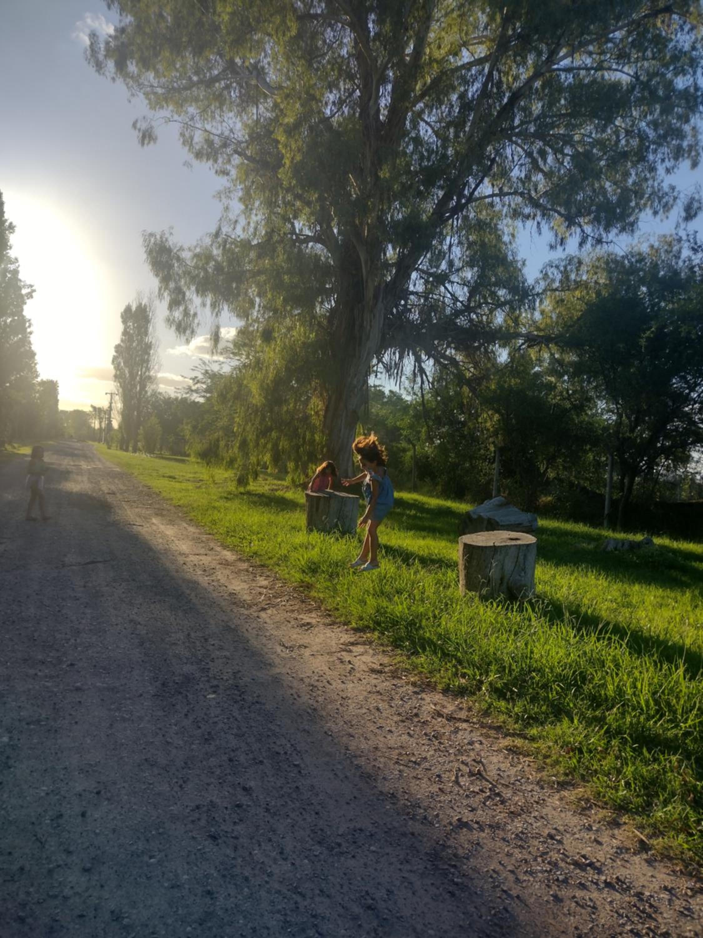 La irupe