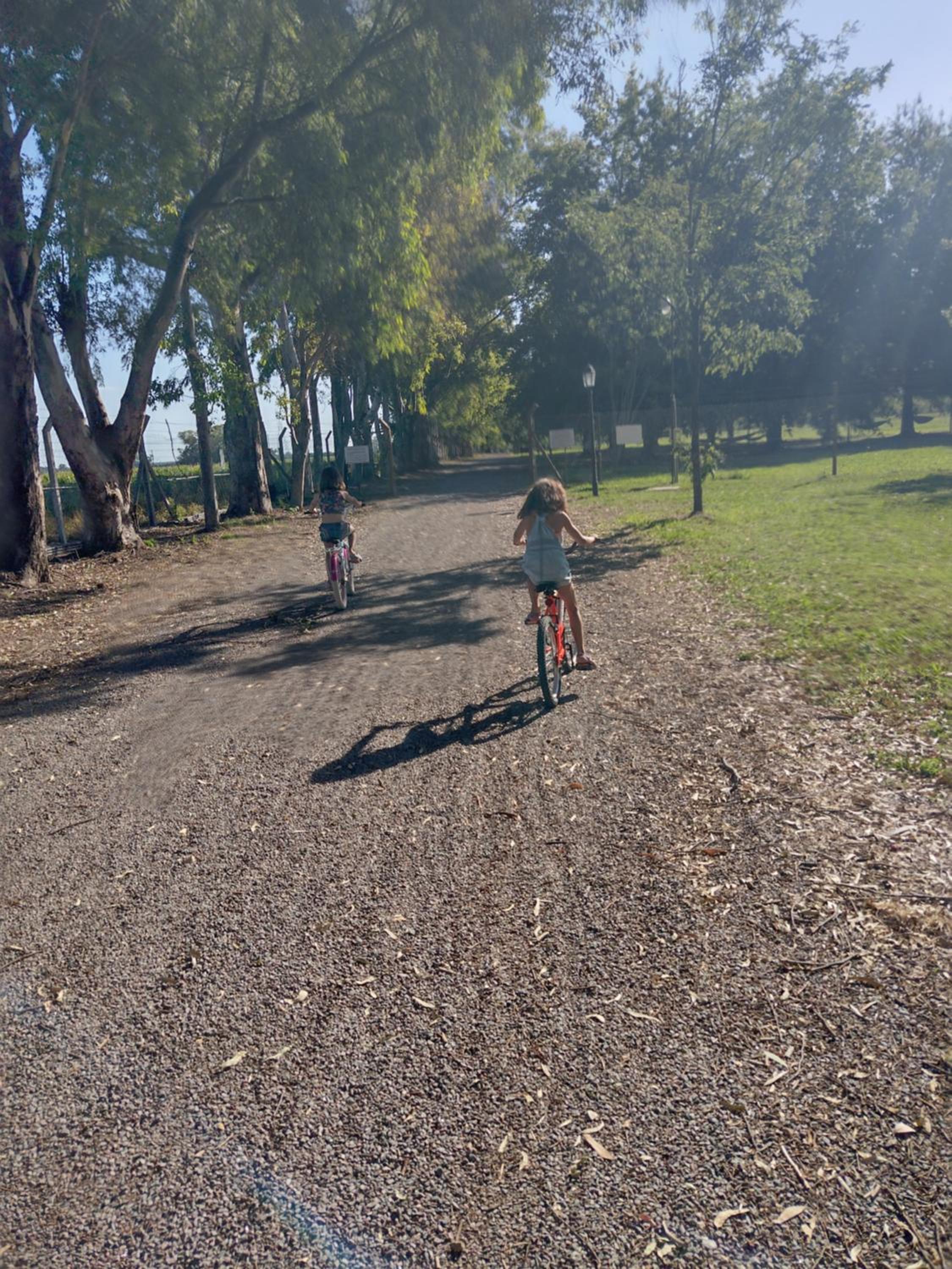 La irupe
