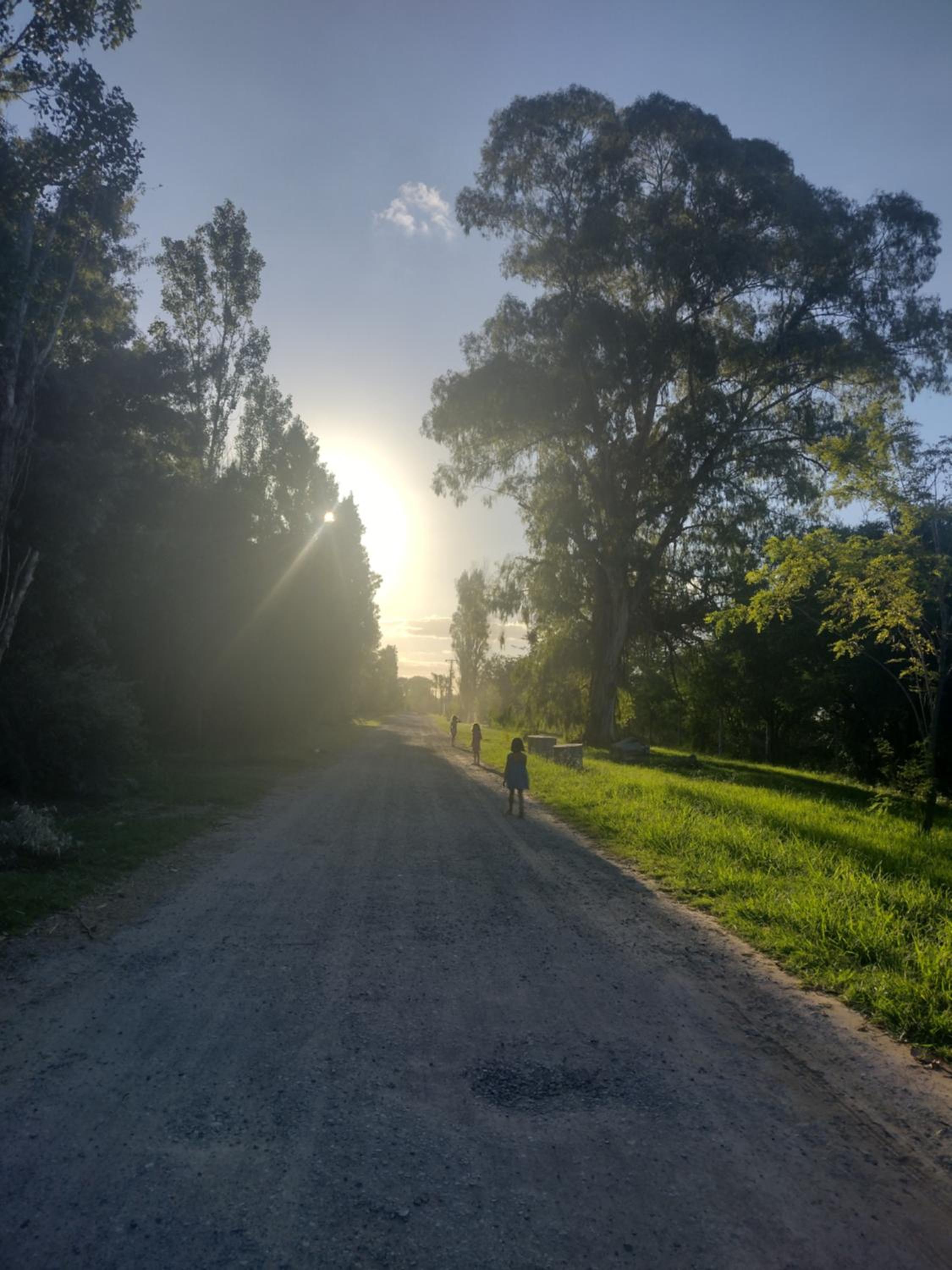 La irupe