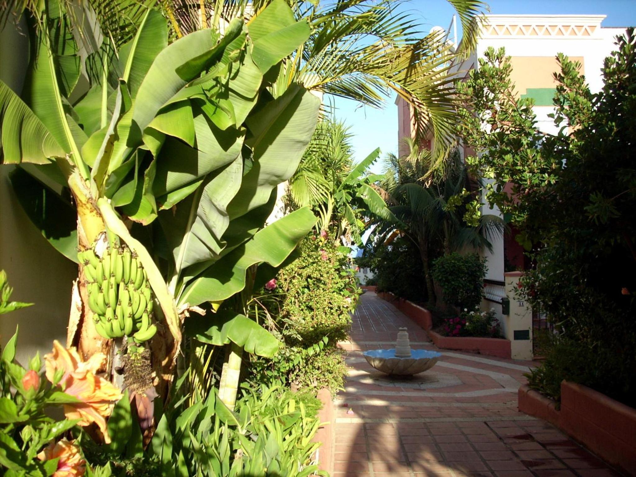 Apartamentos StarNerja II