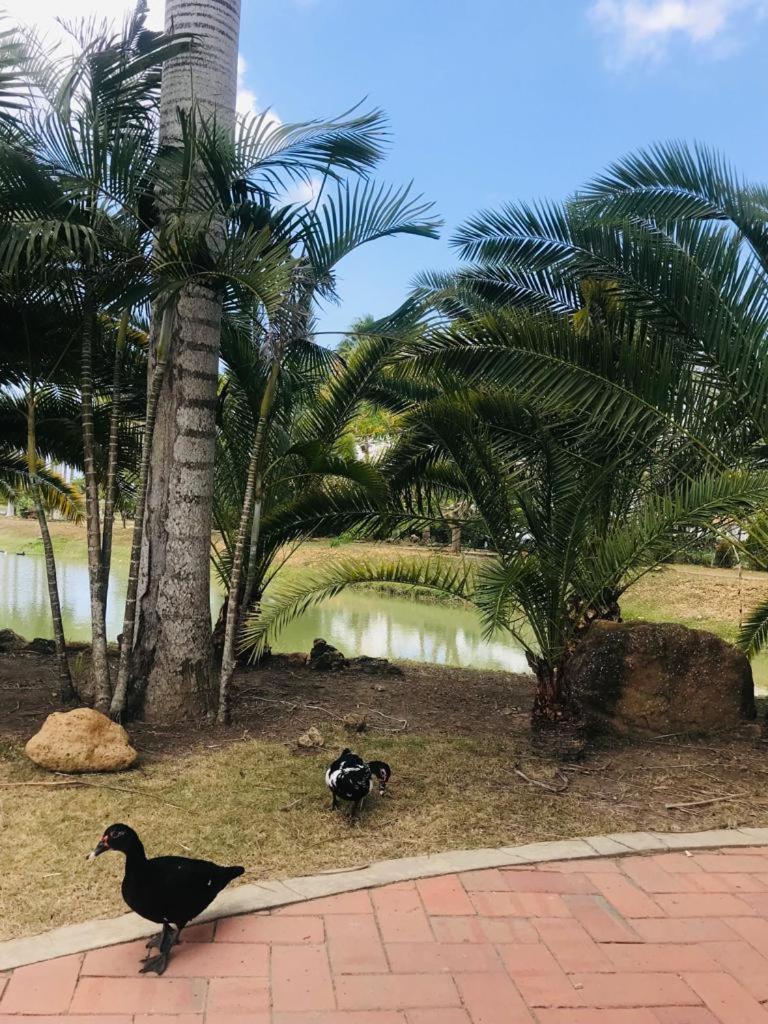 Condominio Campestre Laguna Club Cartagena view 3