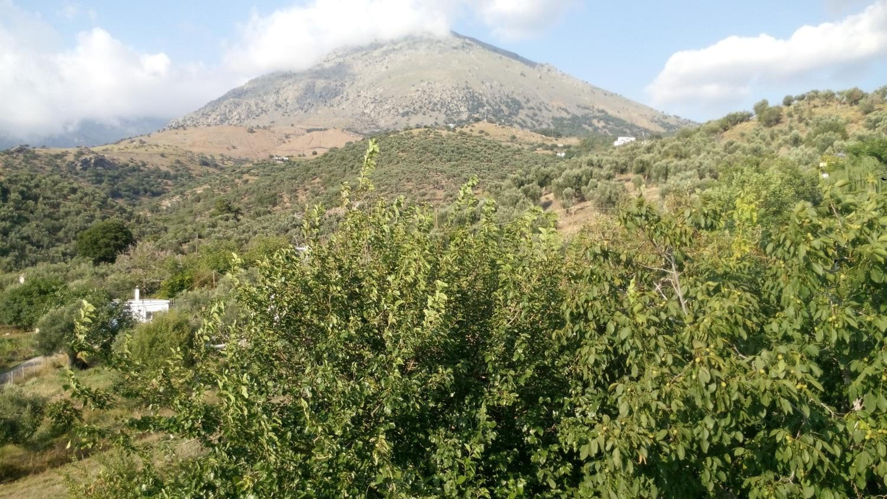 Filoxenia Rooms view 4