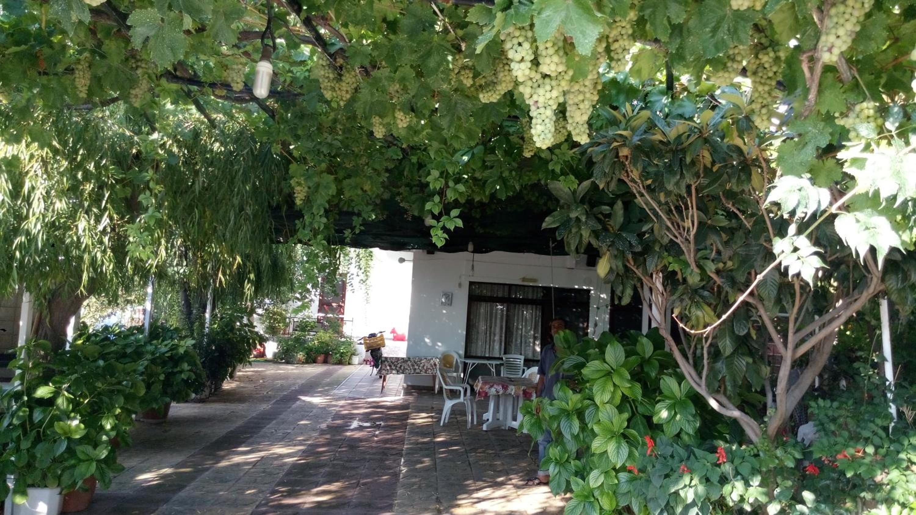 Photo 19