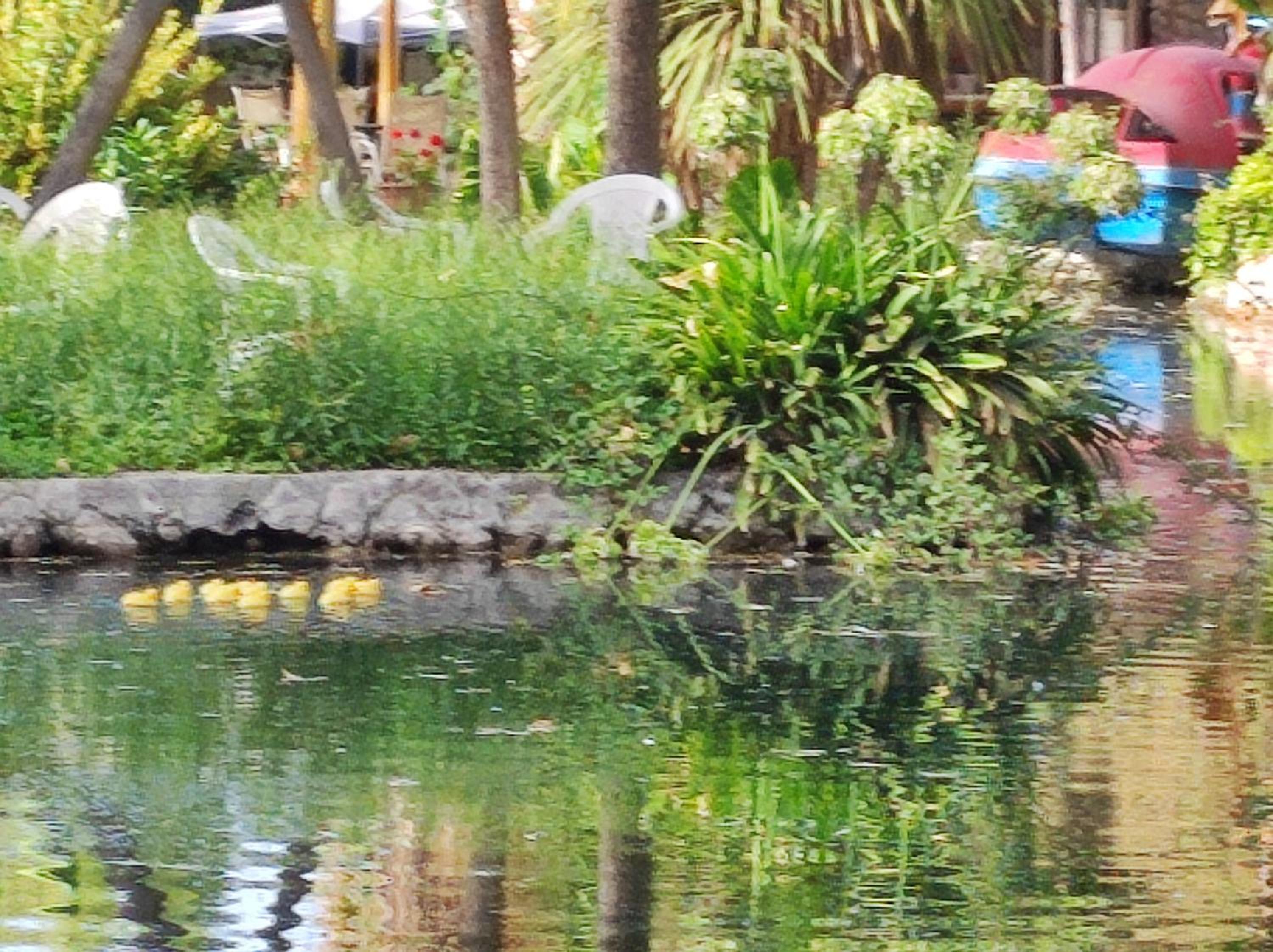 Hostal Doñihue