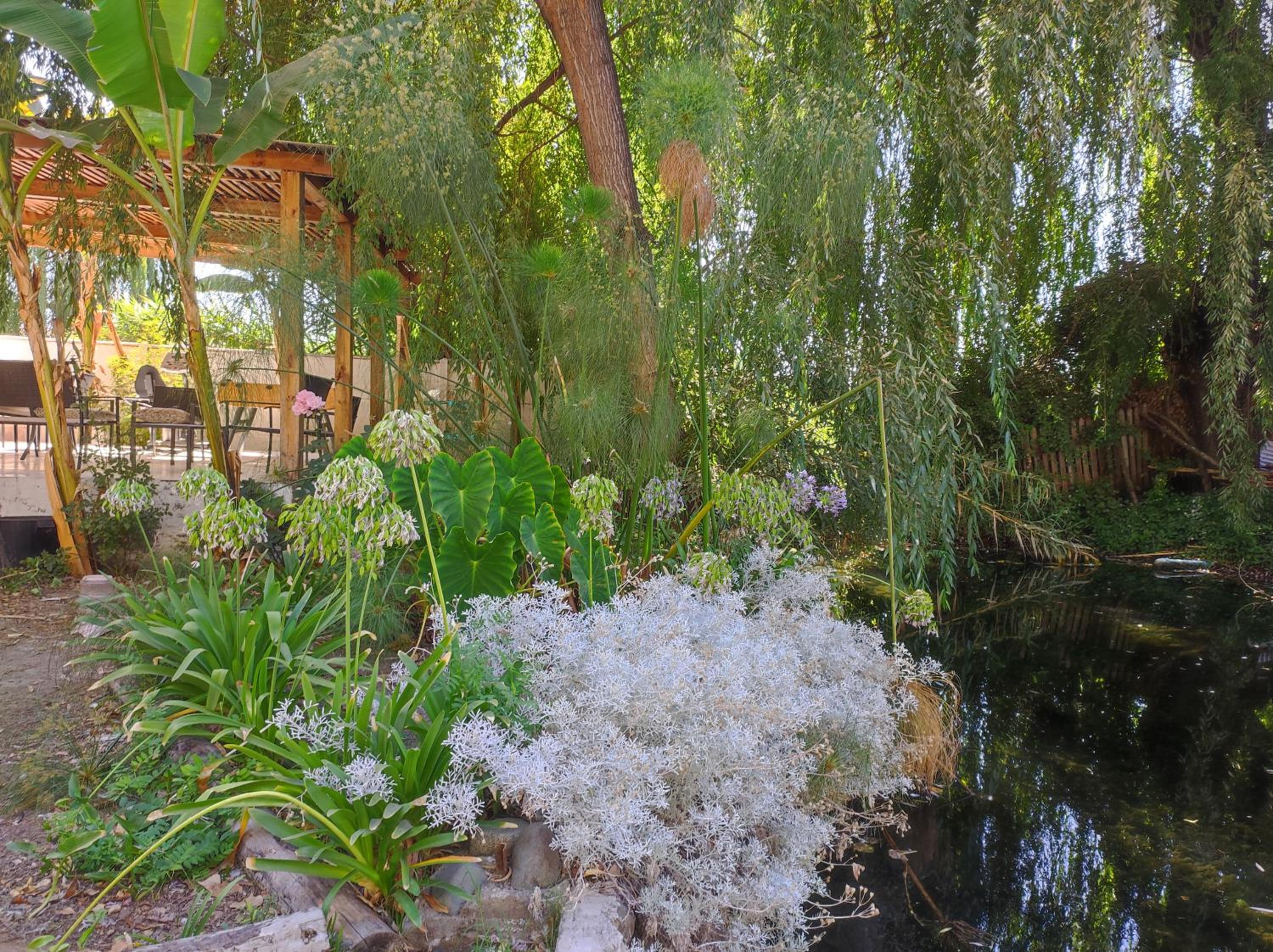 Hostal Doñihue