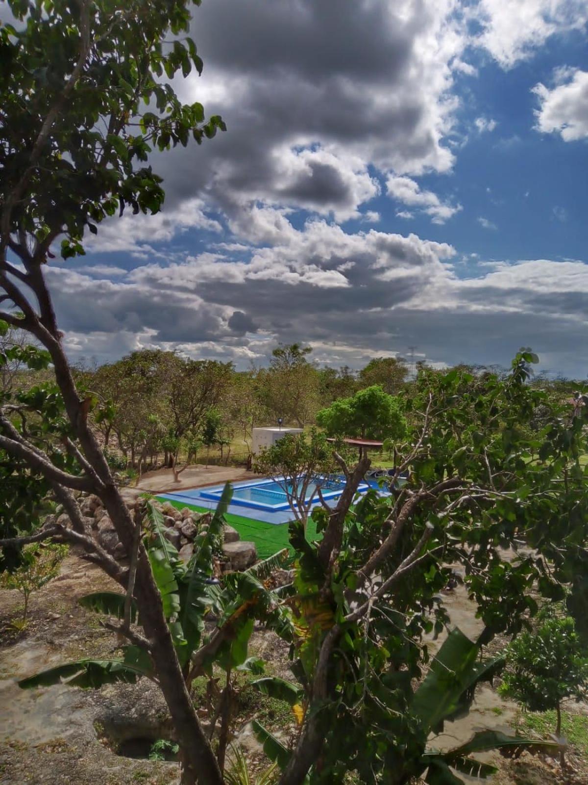 Ecohotel Shalom view 5