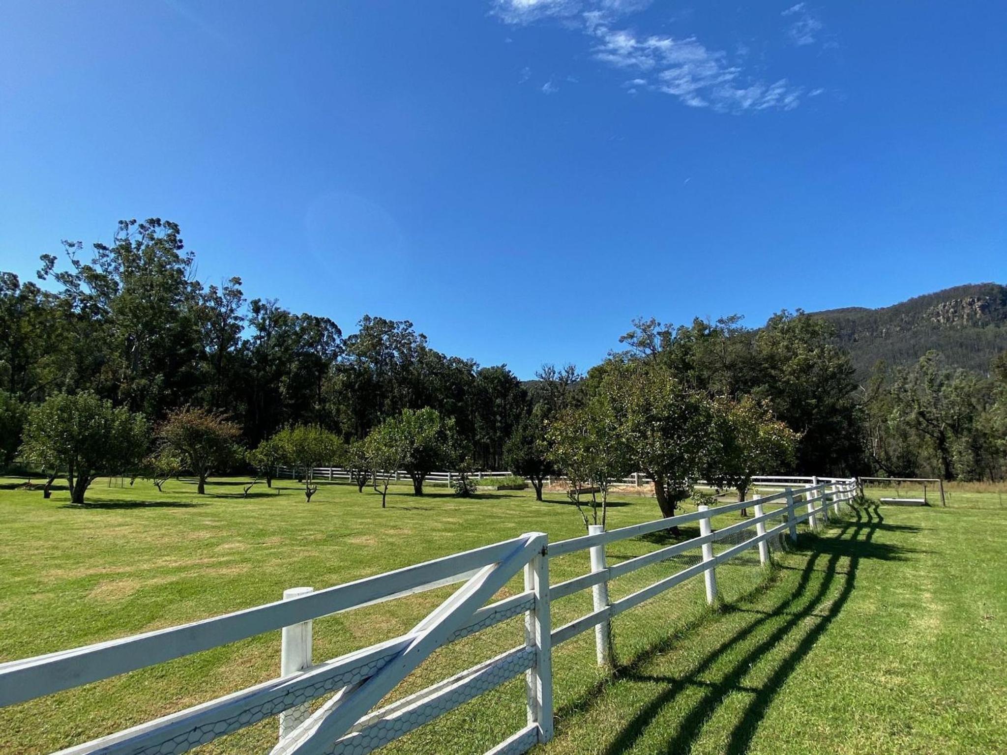 The Hamilton Kangaroo Valley