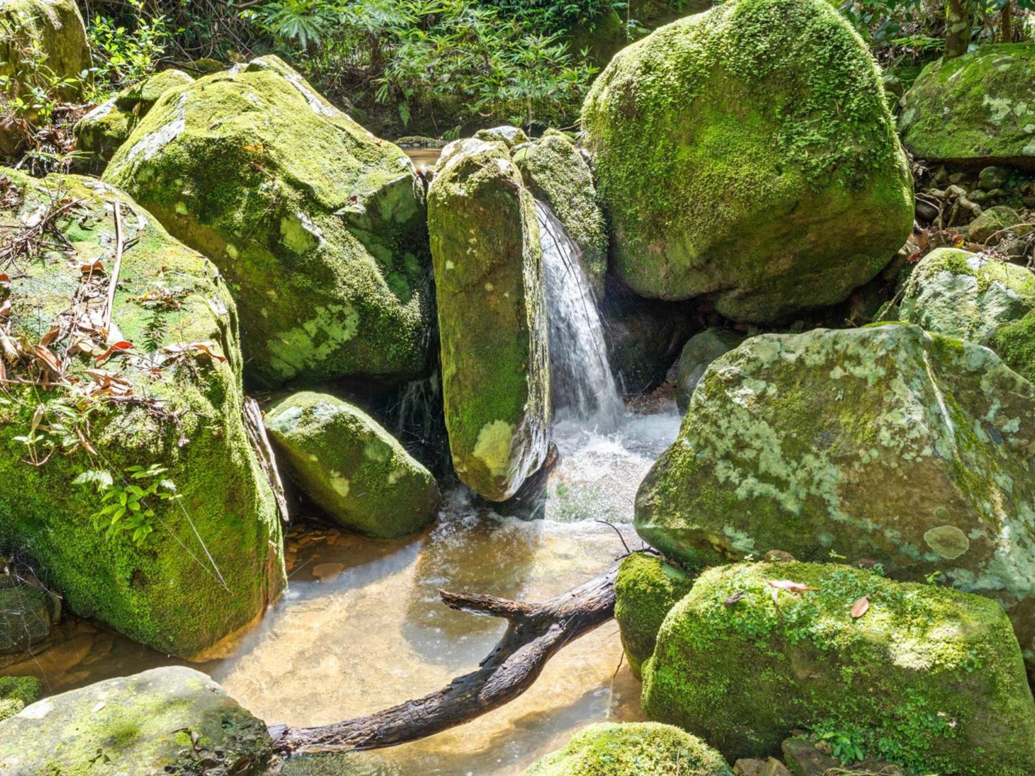 Billagunyah Rainforest Retreat