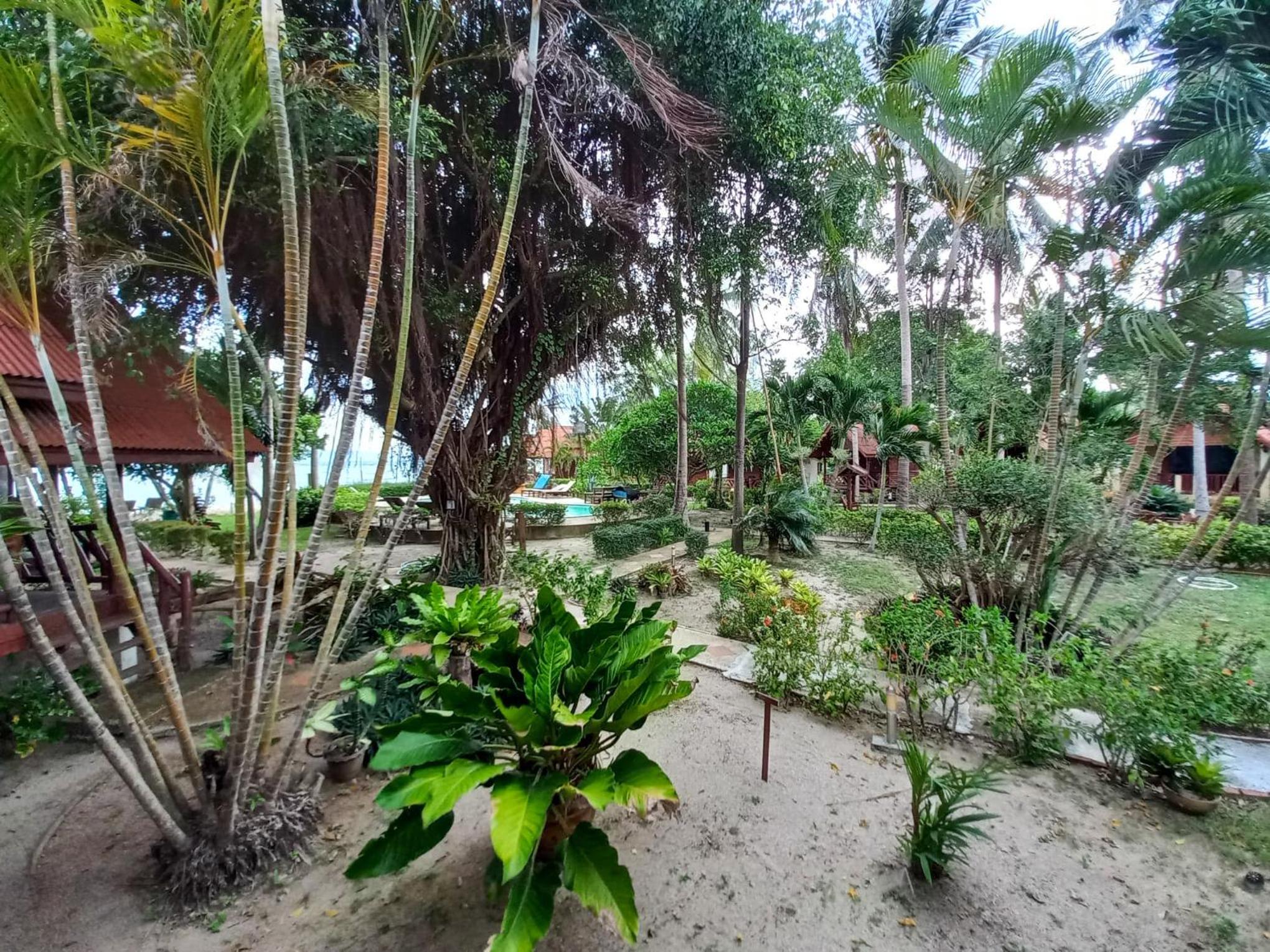 Morning Star Resort