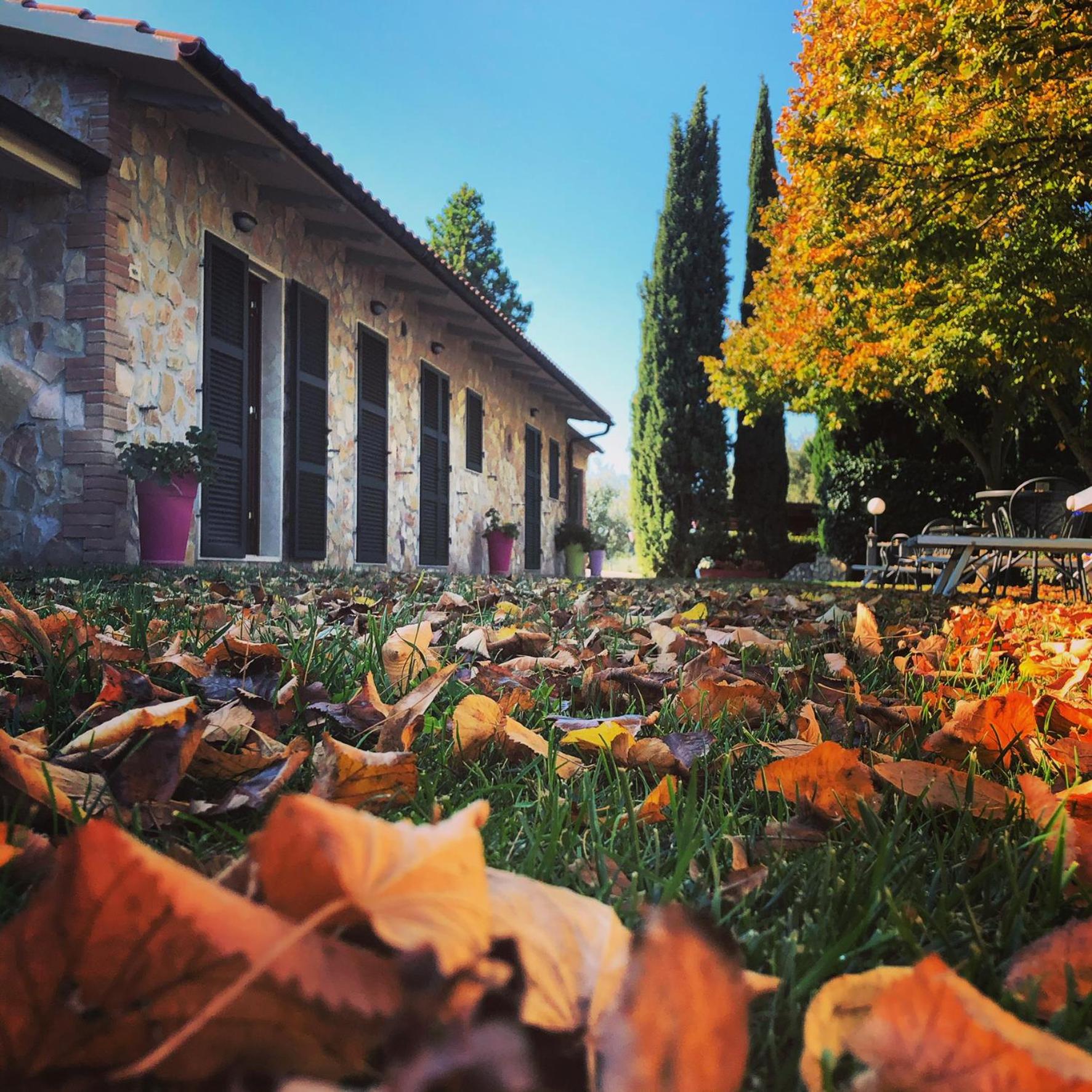 Agriturismo Poggio del Drago