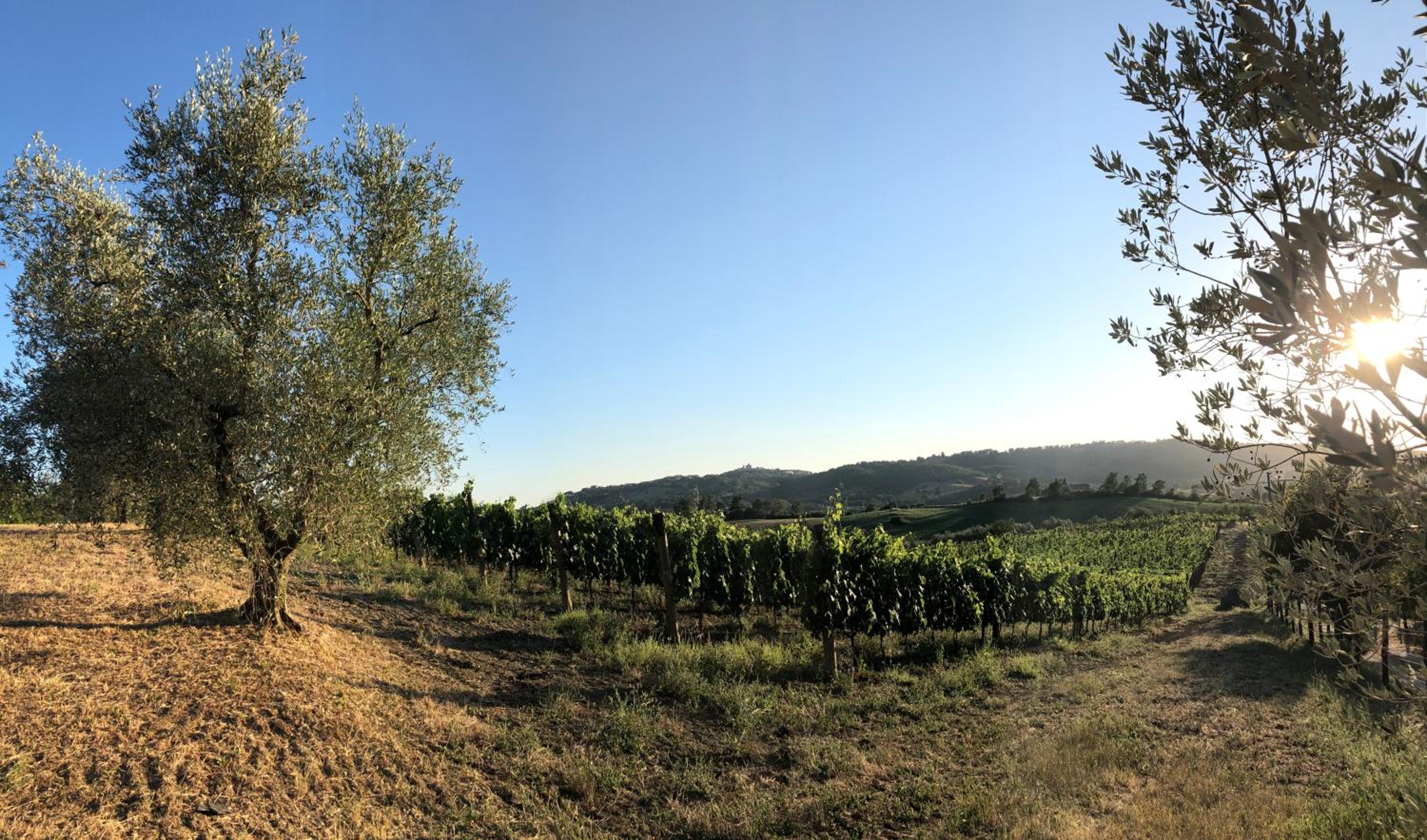 Agriturismo Poggio del Drago