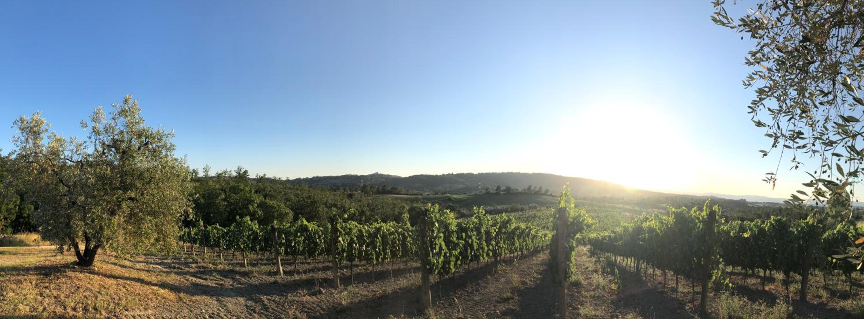 Agriturismo Poggio del Drago
