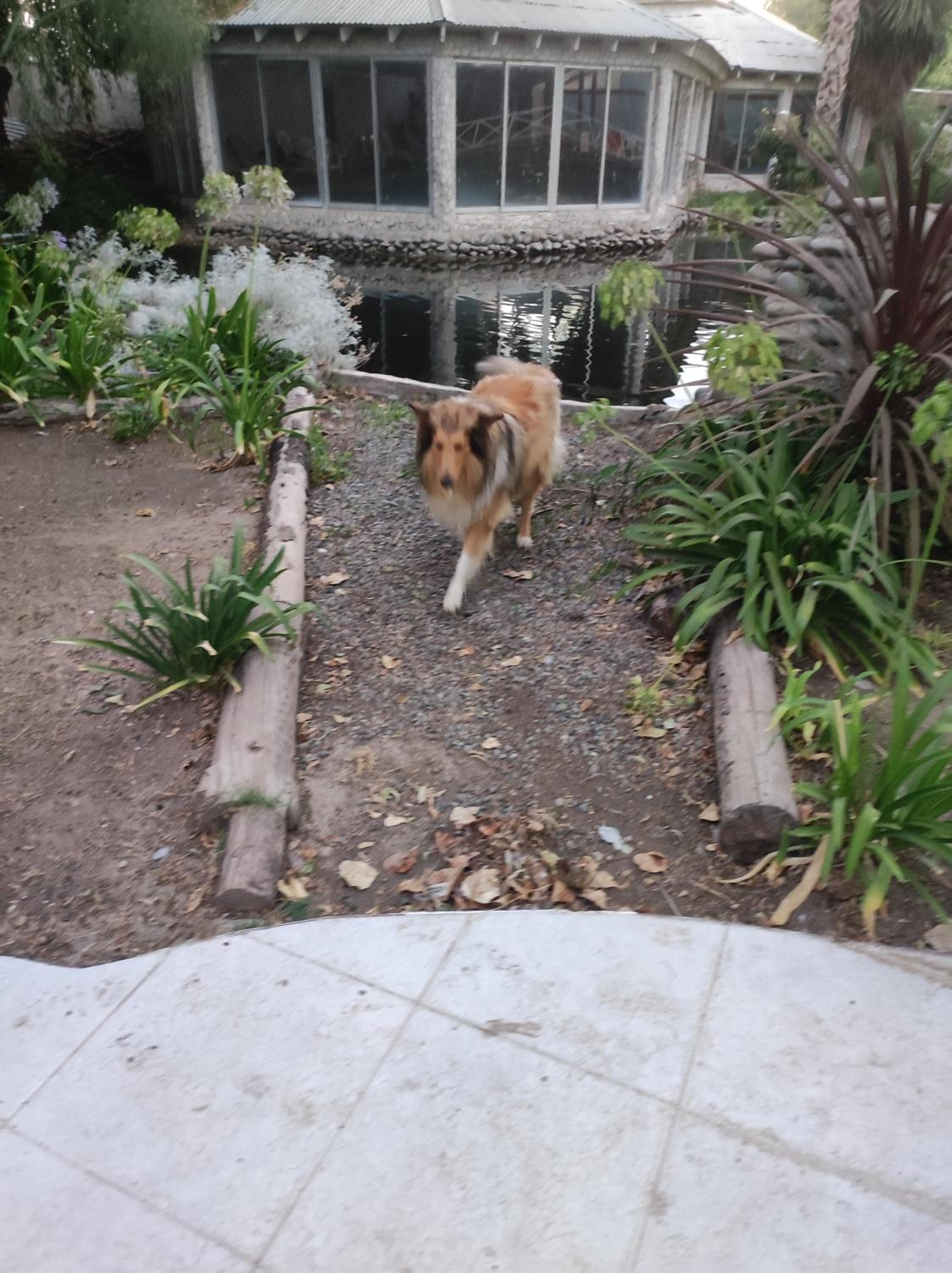 Hostal Doñihue